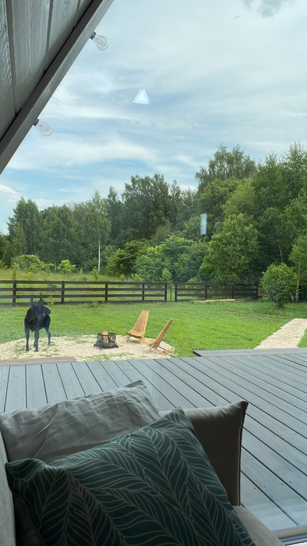 Фото Лес и небо