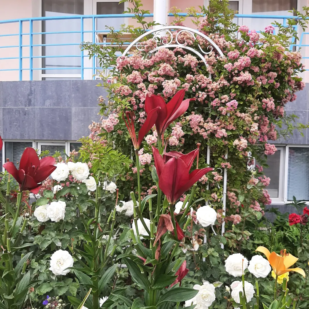 Фото Три Короны