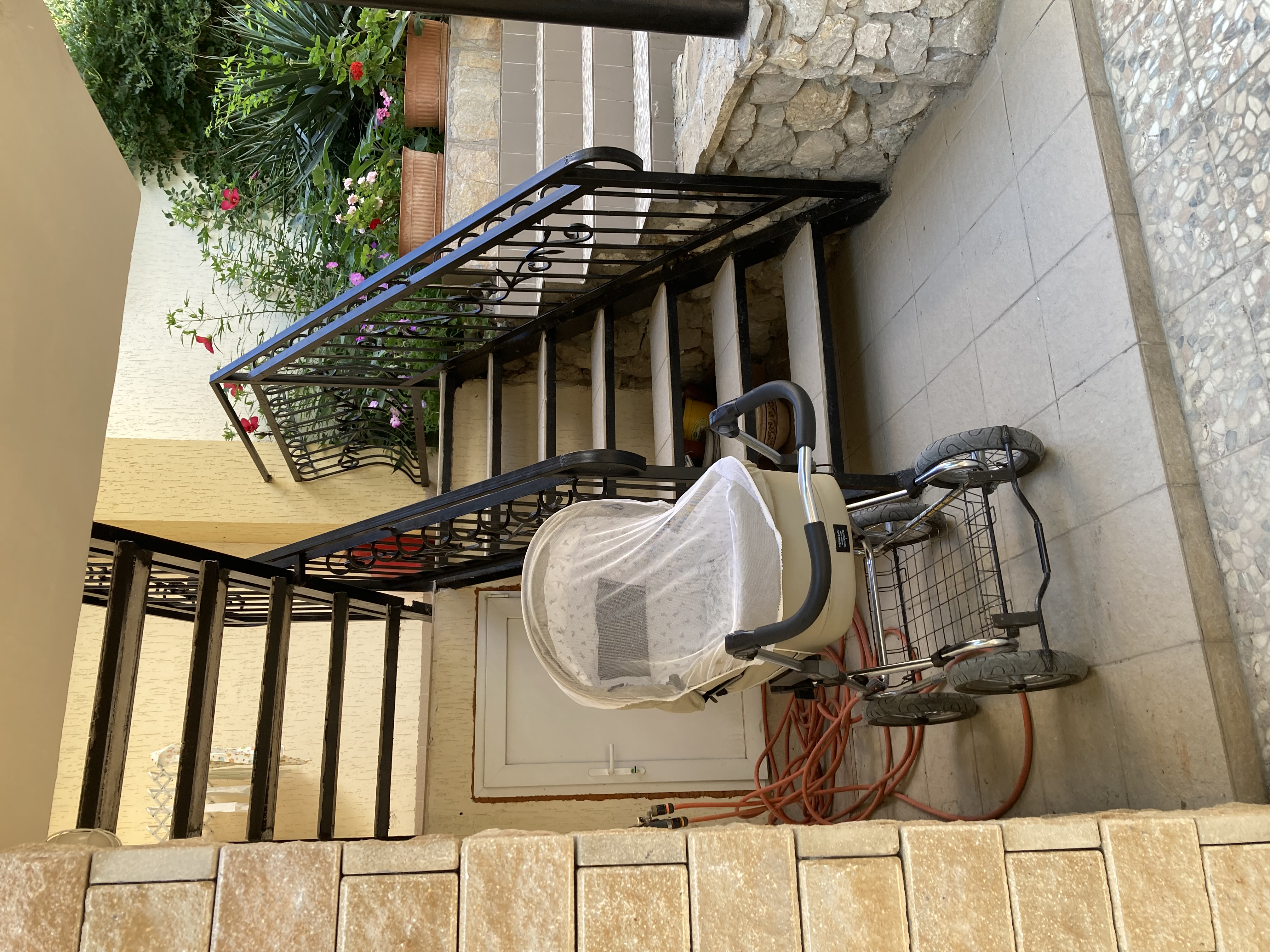 Фото Орхидея