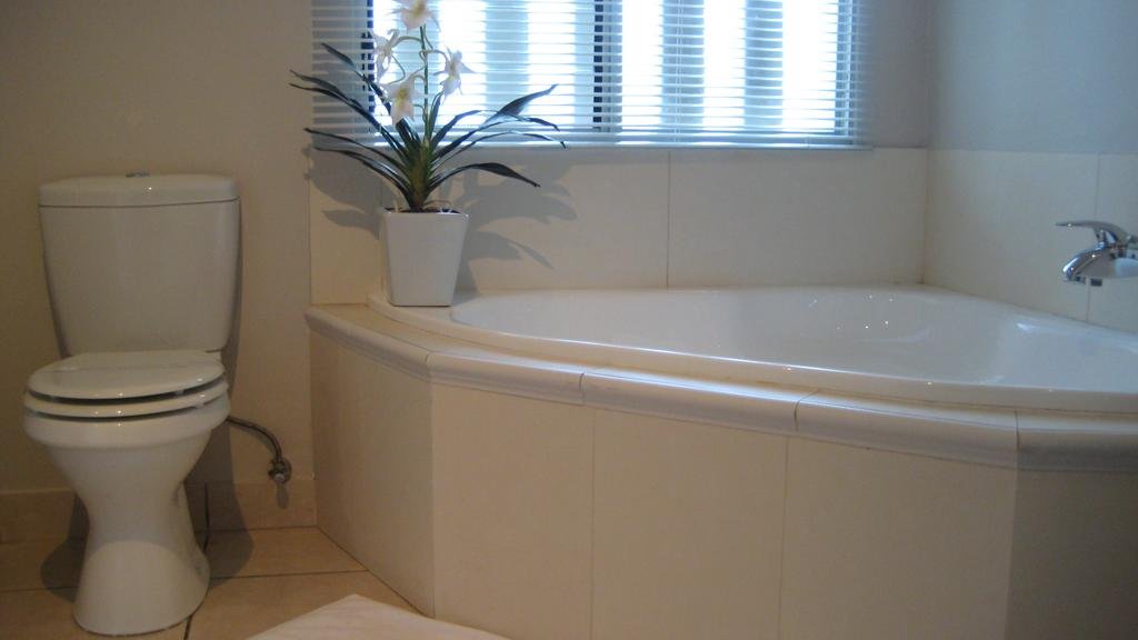 Фото The Palms Guesthouse