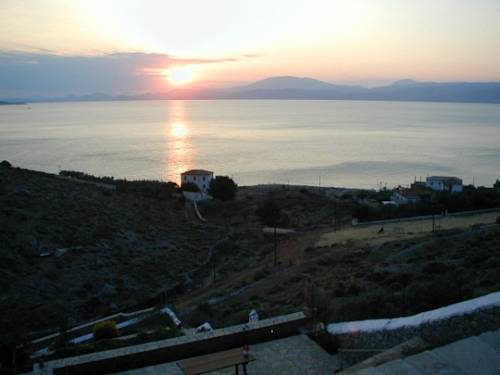 Фото Hydra Erato