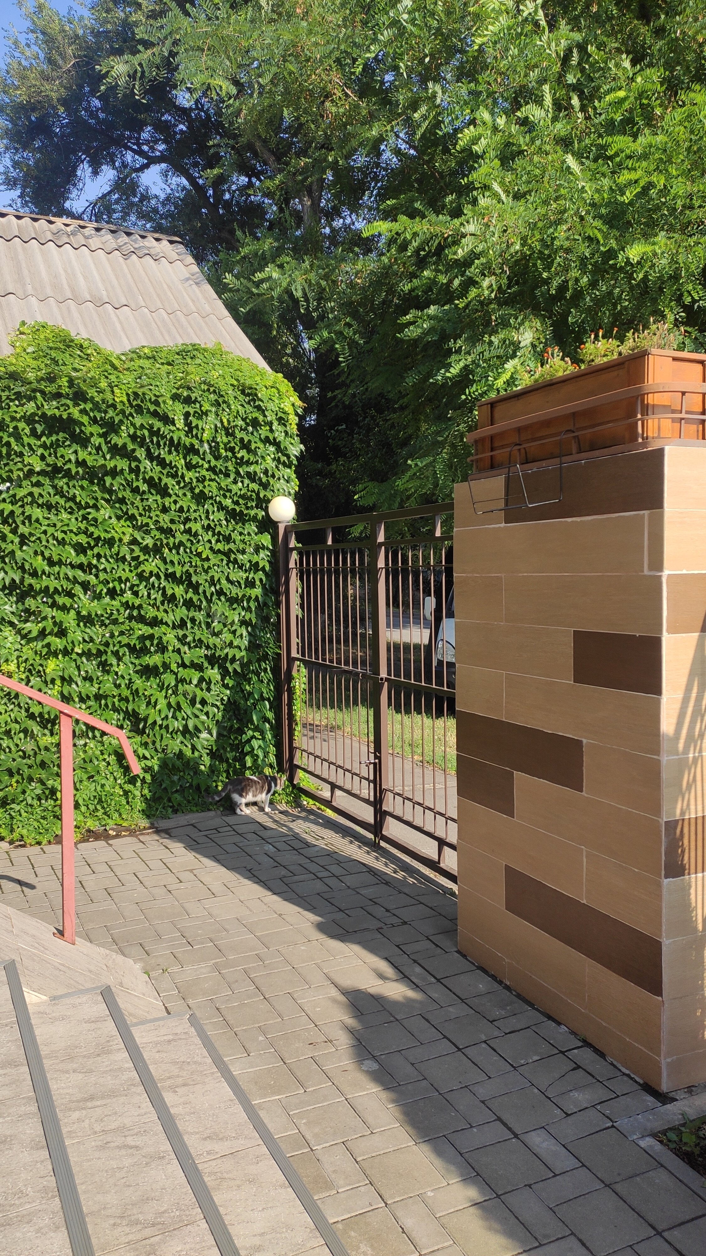 Фото Грин холл