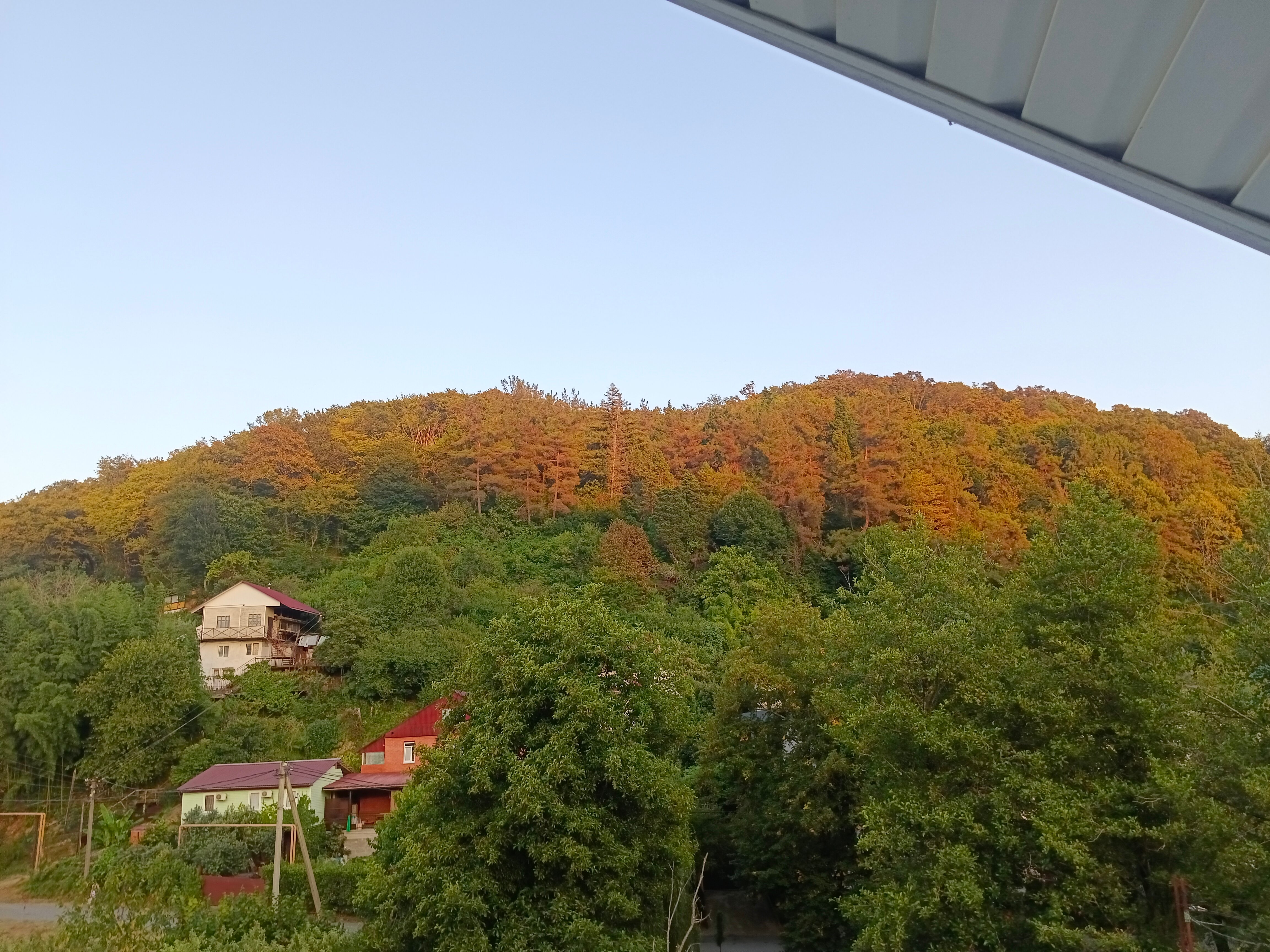 Фото ЛооБич