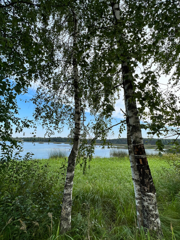 Фото Эко-усадьба Горностай