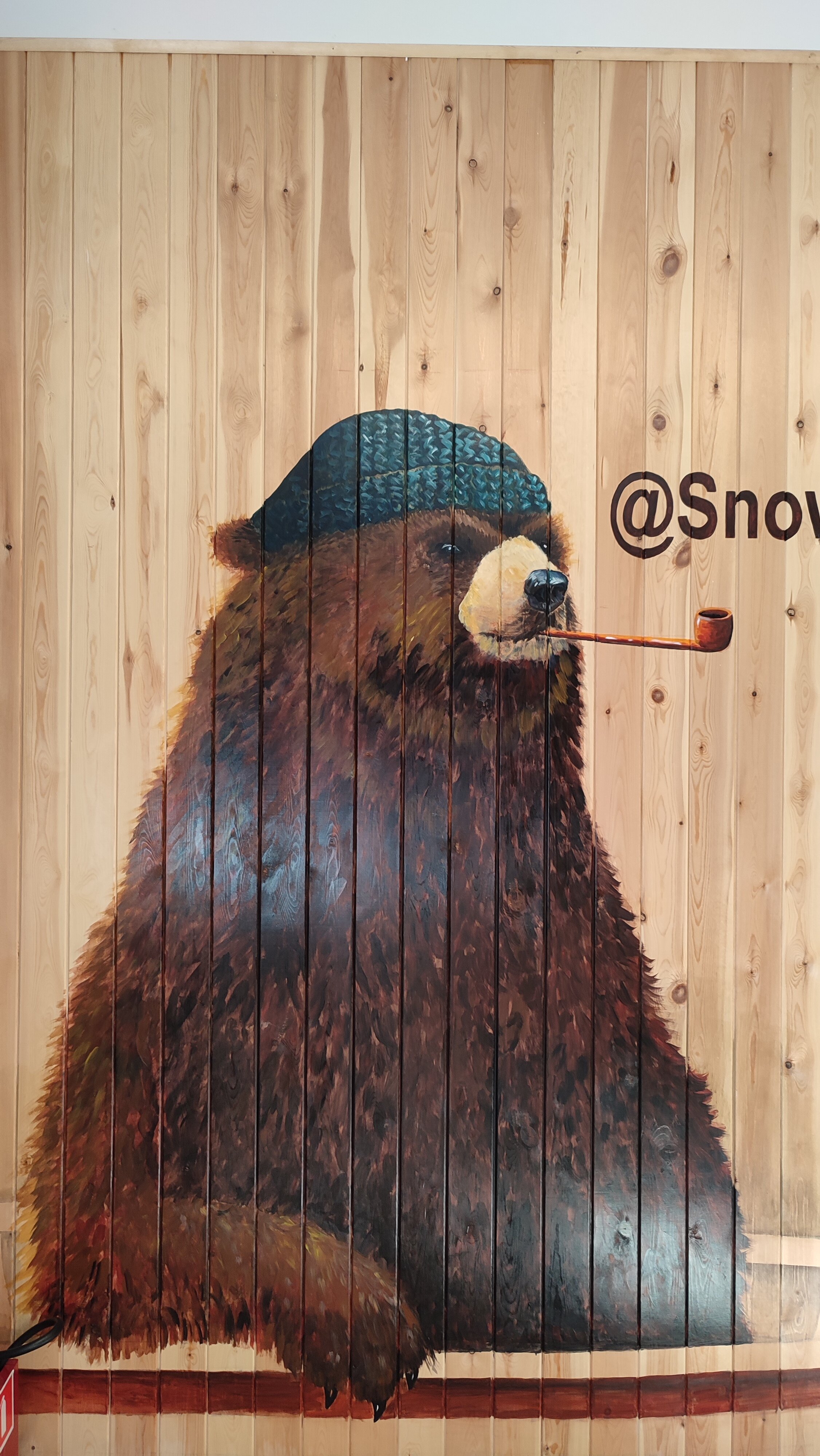 Фото Снежный поток