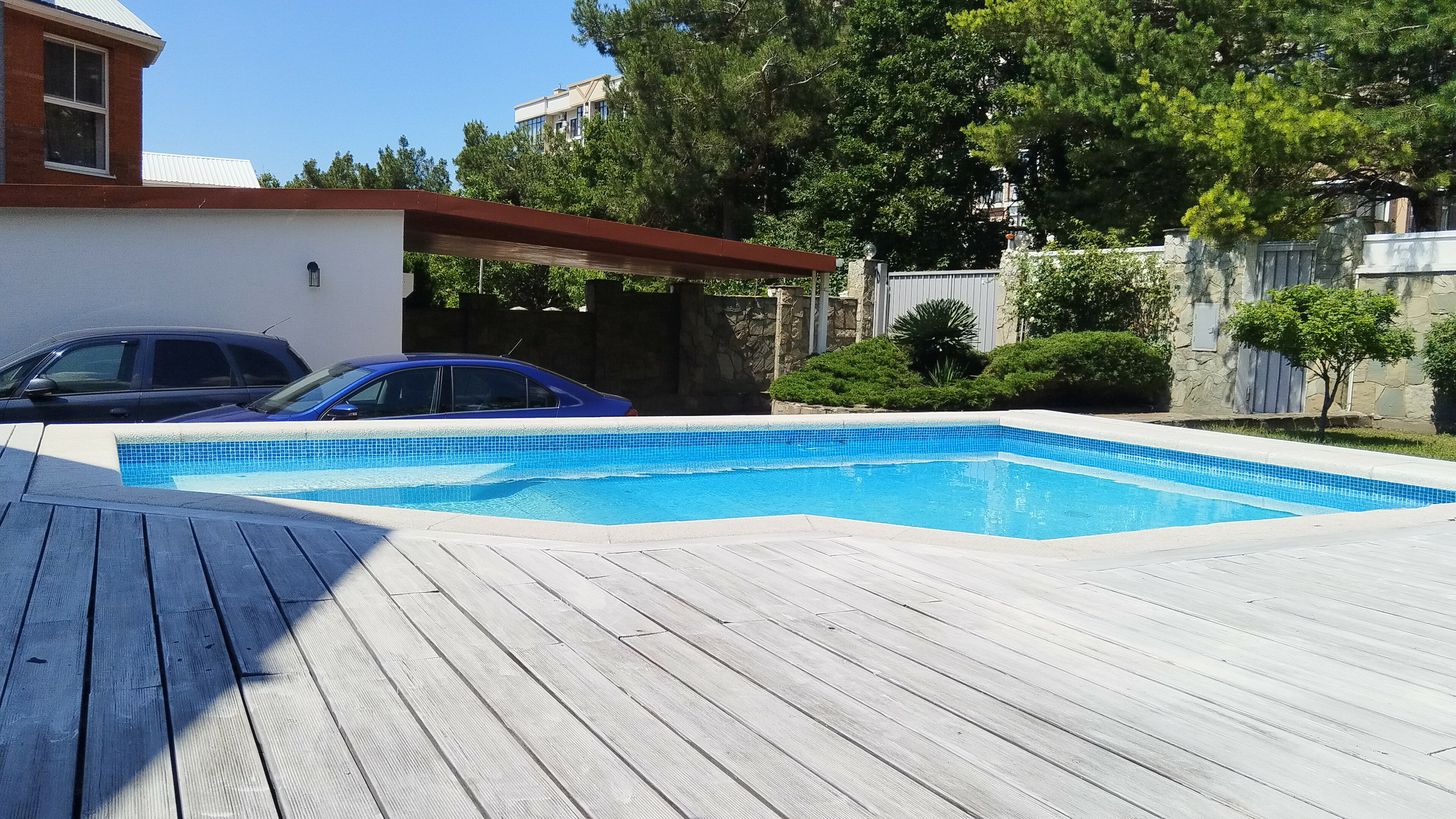 Фото Лесной