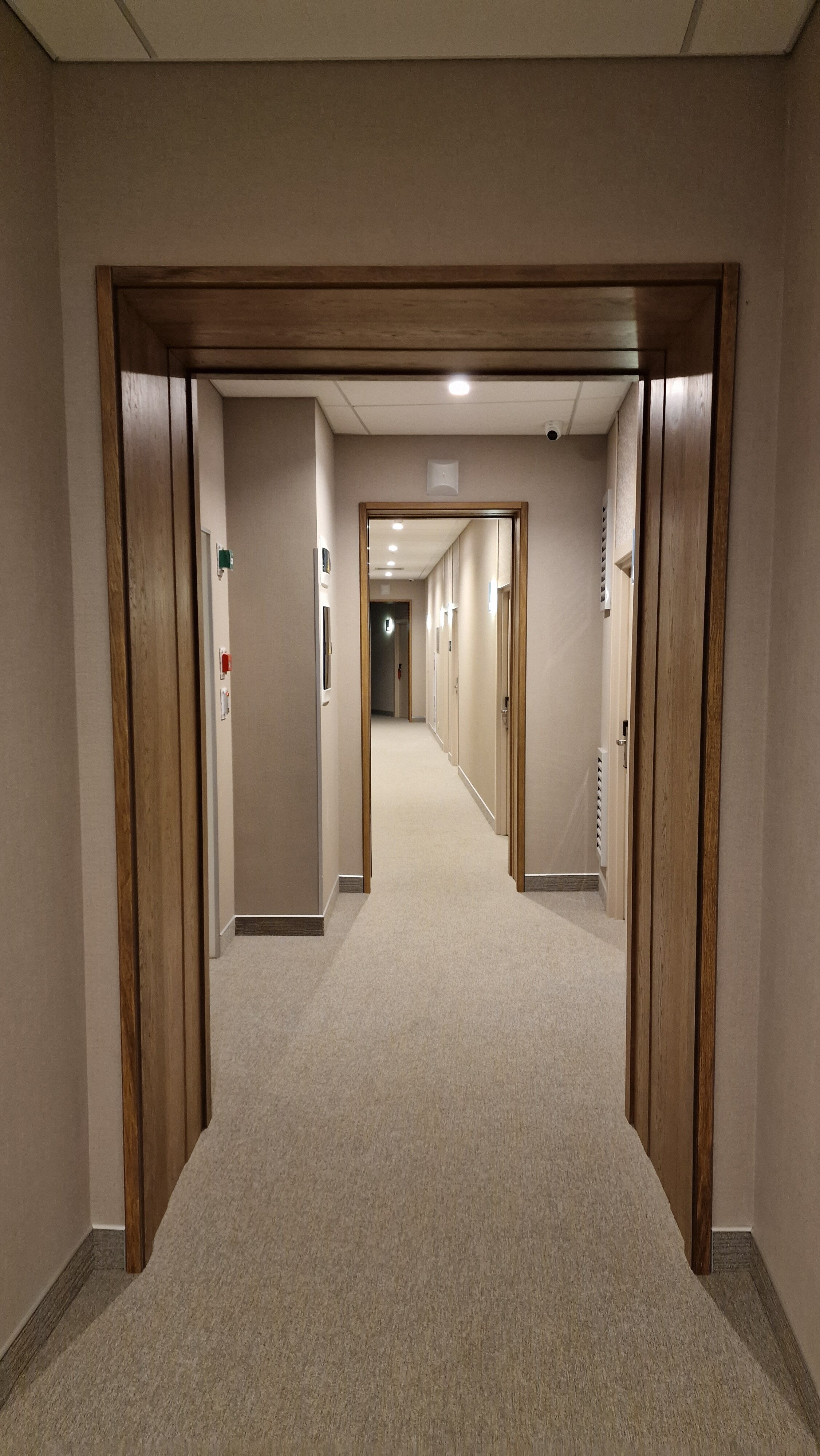 Фото Ирониум