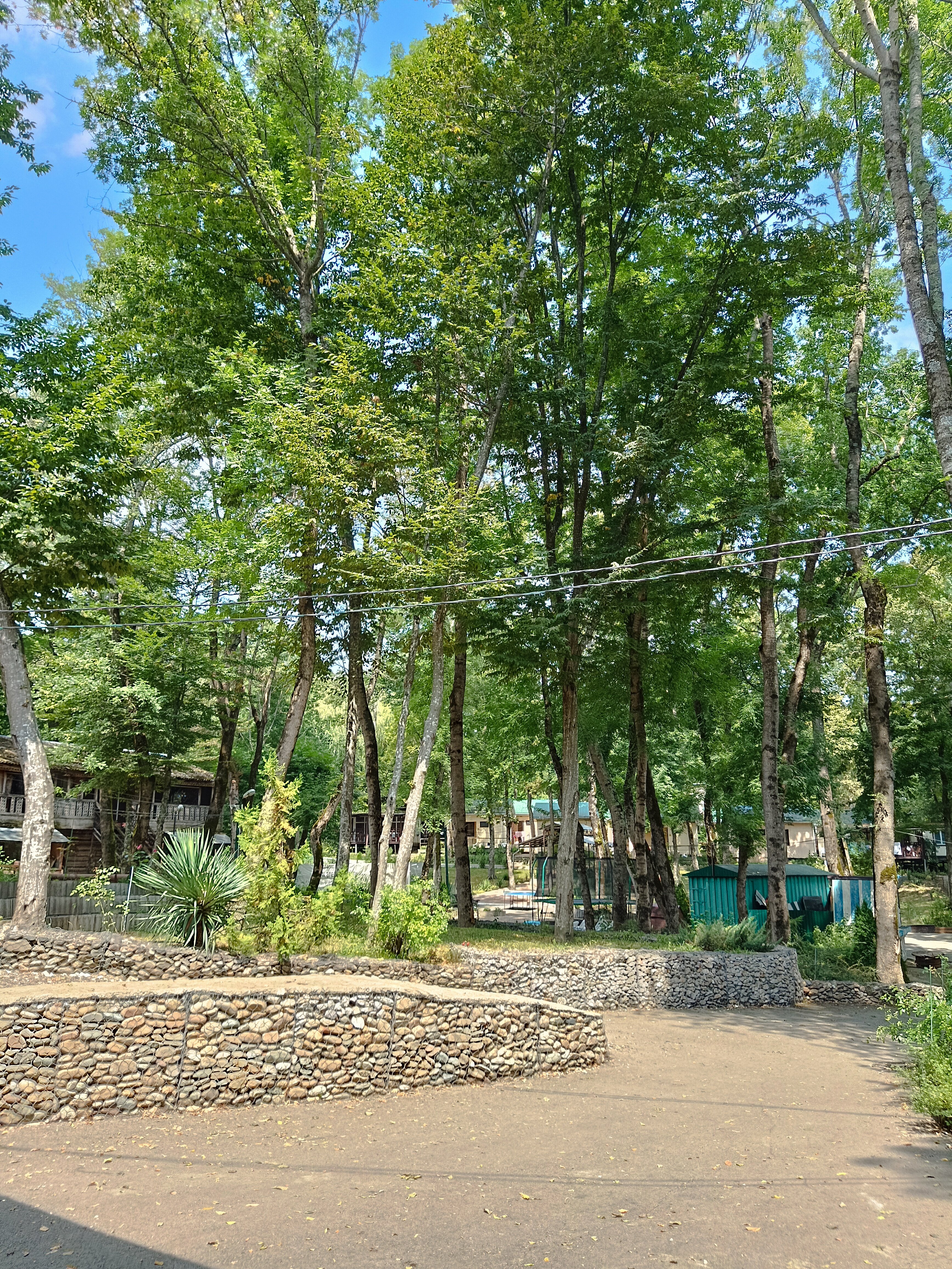 Фото Ручеек