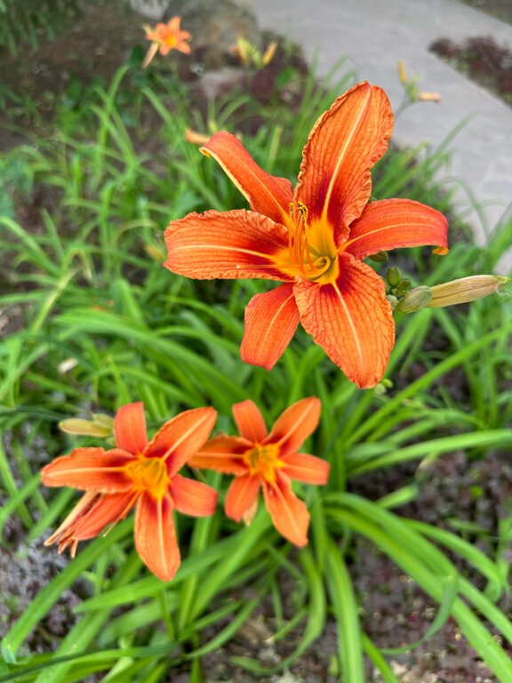 Фото Алымов