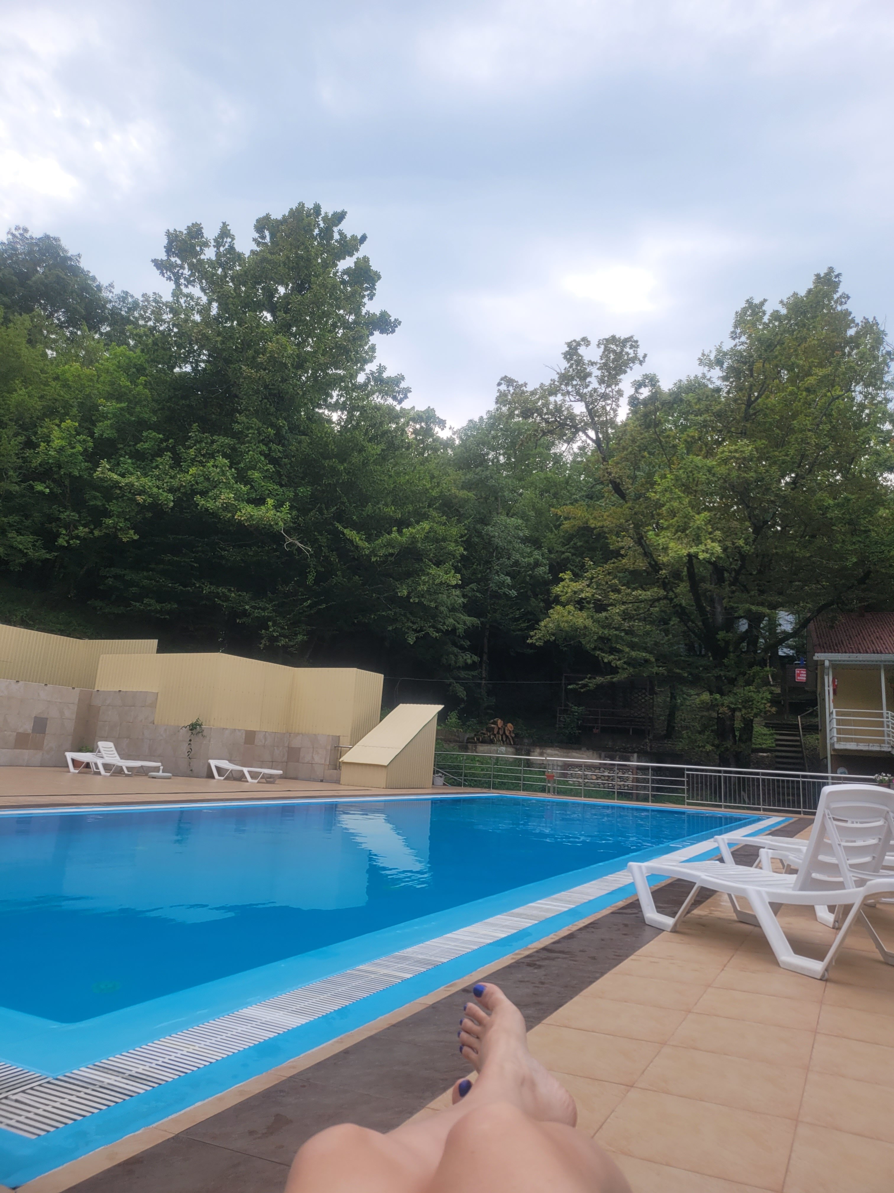 Фото Примула