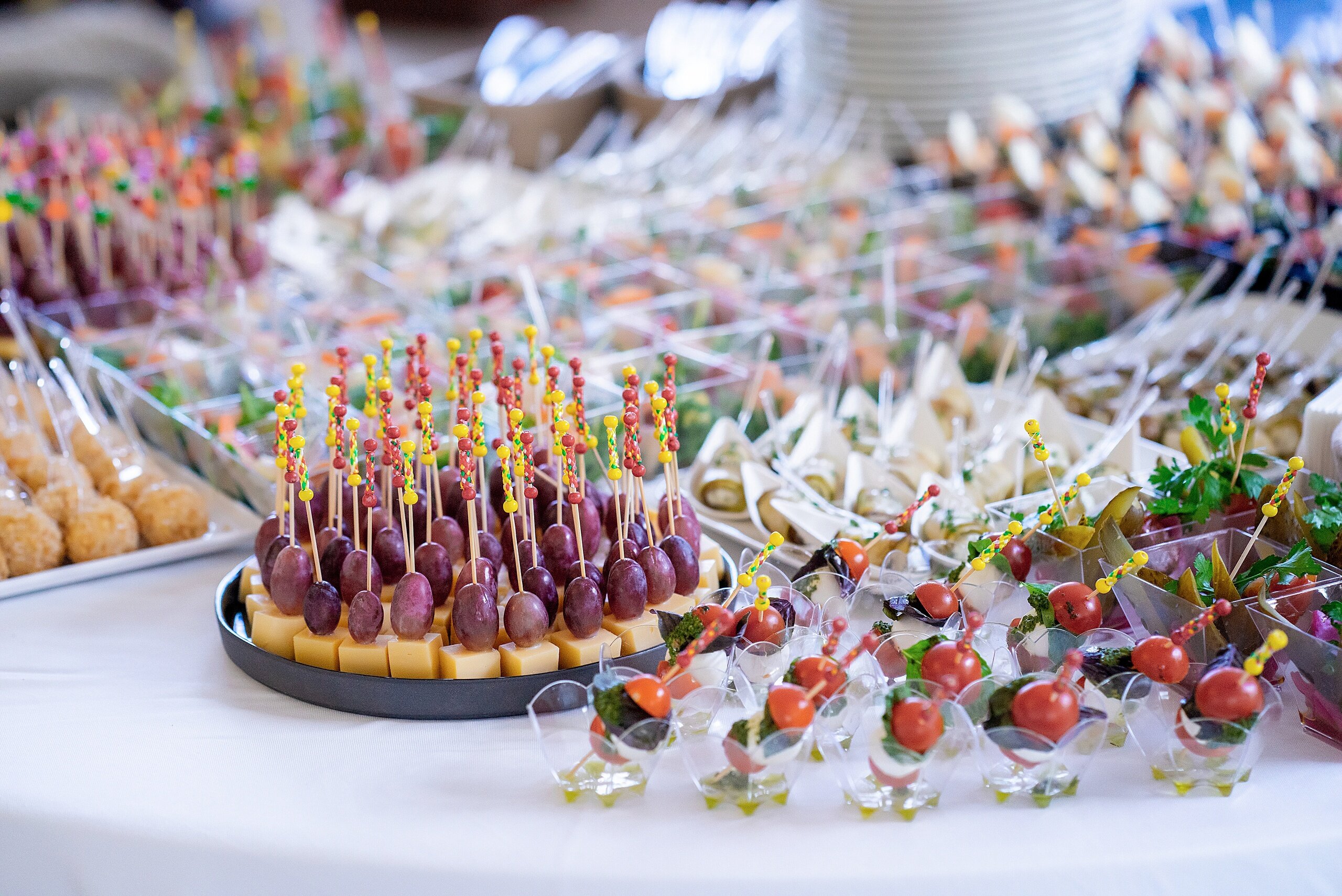 Фото Наша Хвоя