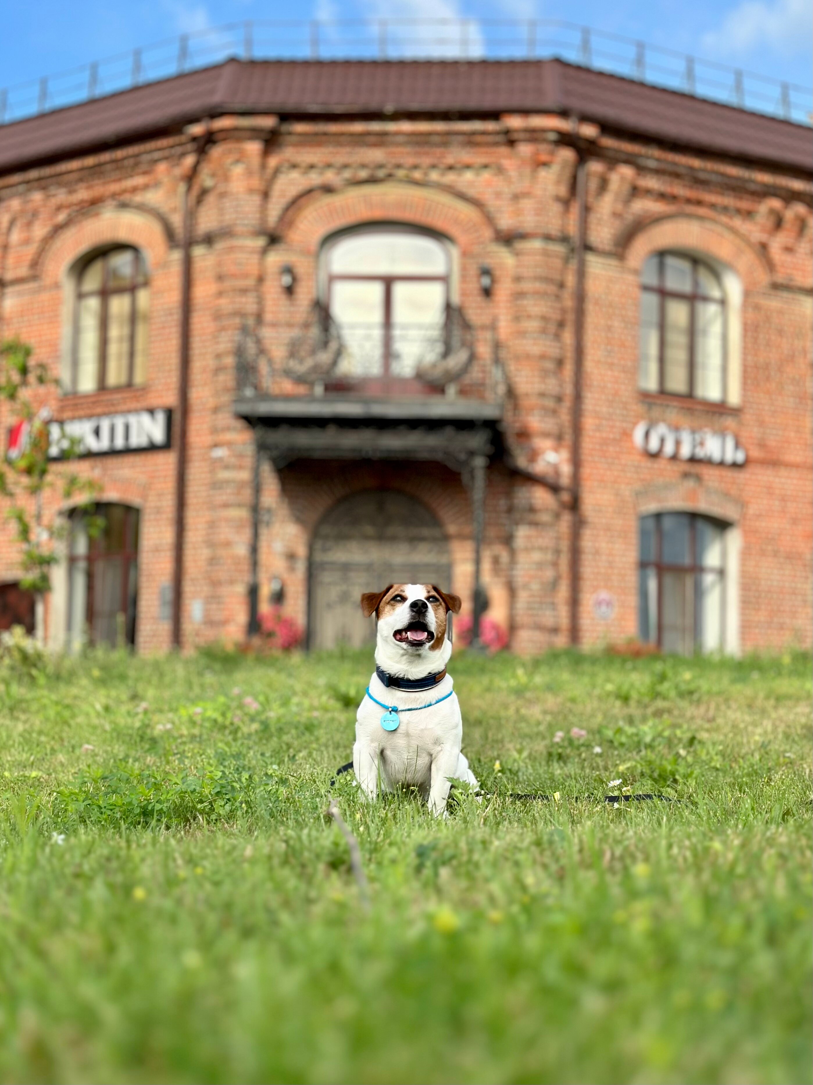 Фото Никитин