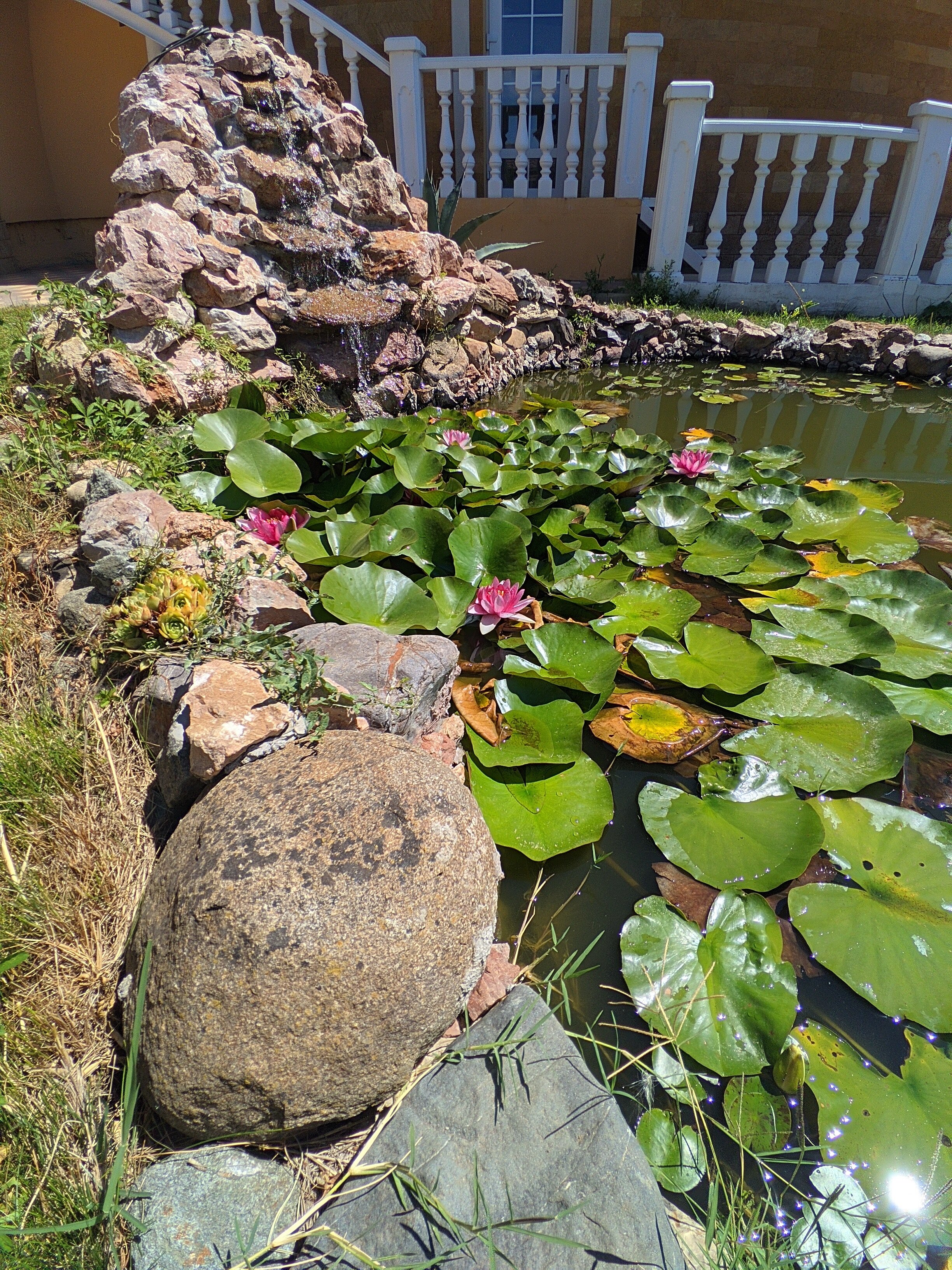 Фото ВиллаФрунзе