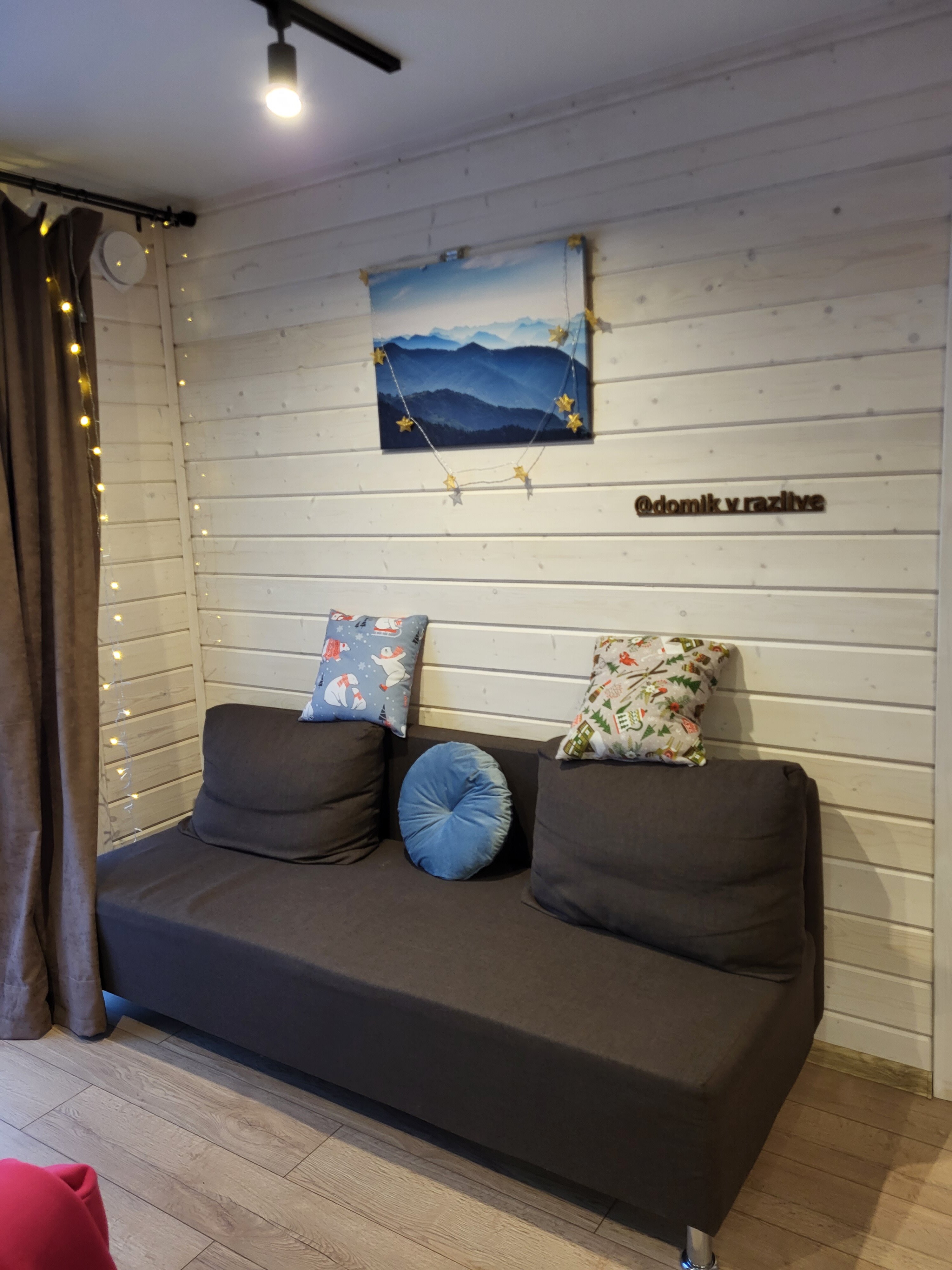 Фото Домик в Разливе