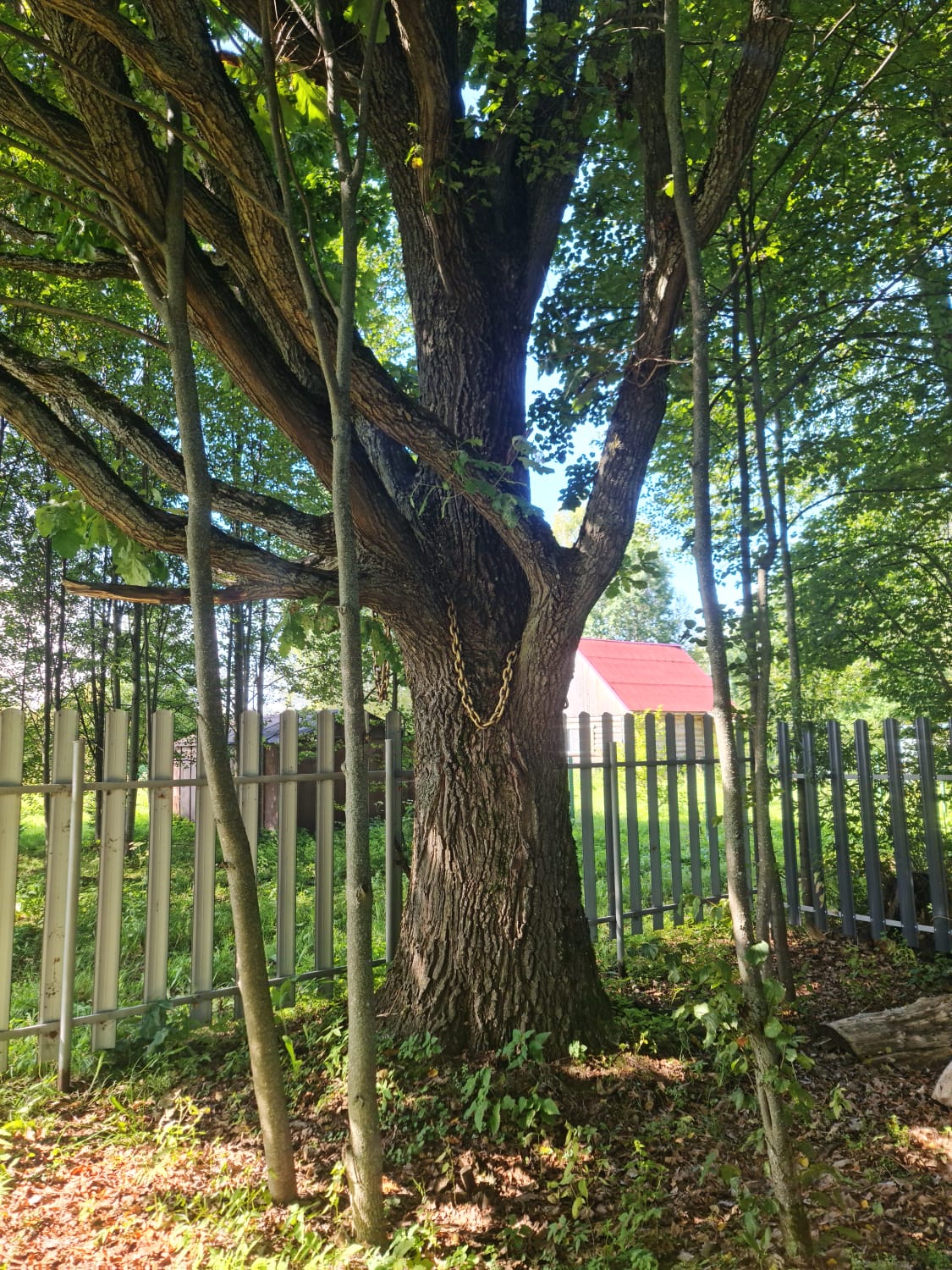 Фото Выродово-Клуб