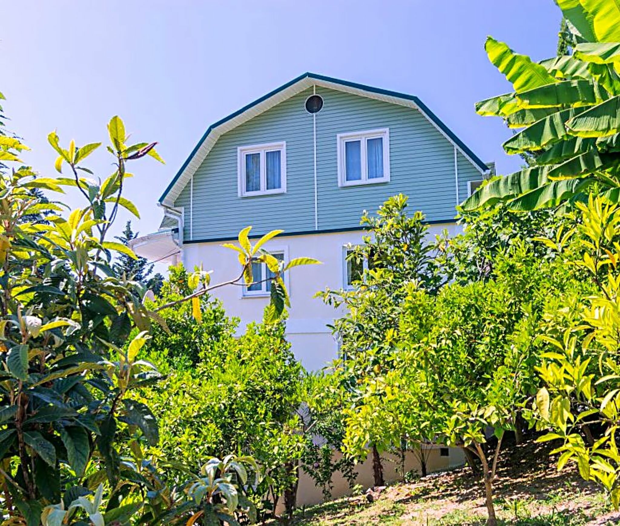 Фото отеля 4