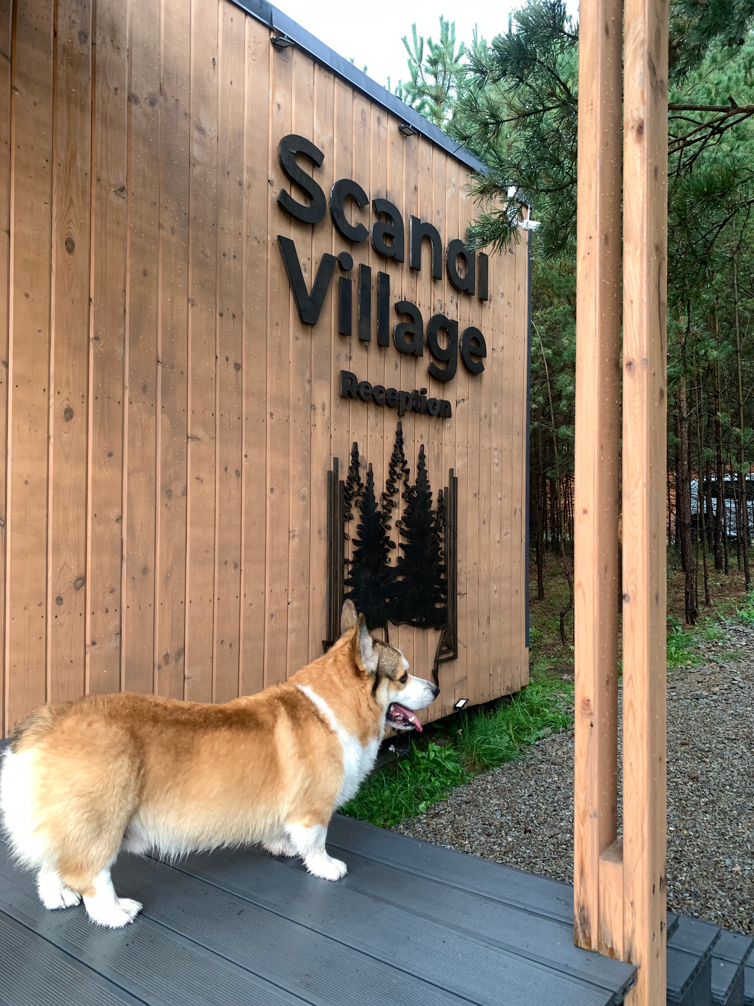 Фото Scandi Village