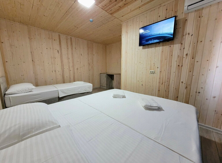 Фото Протос