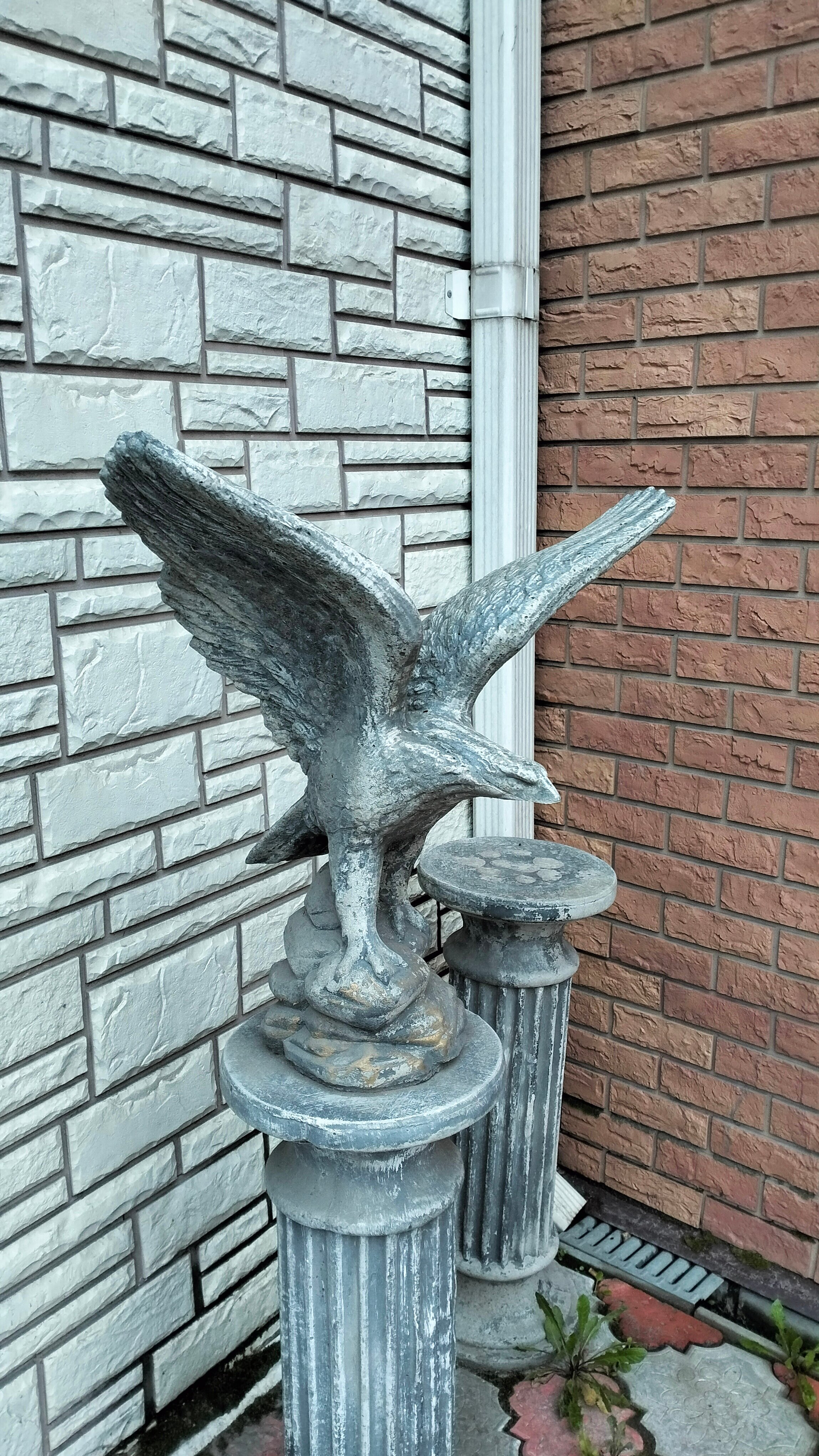 Фото Империал