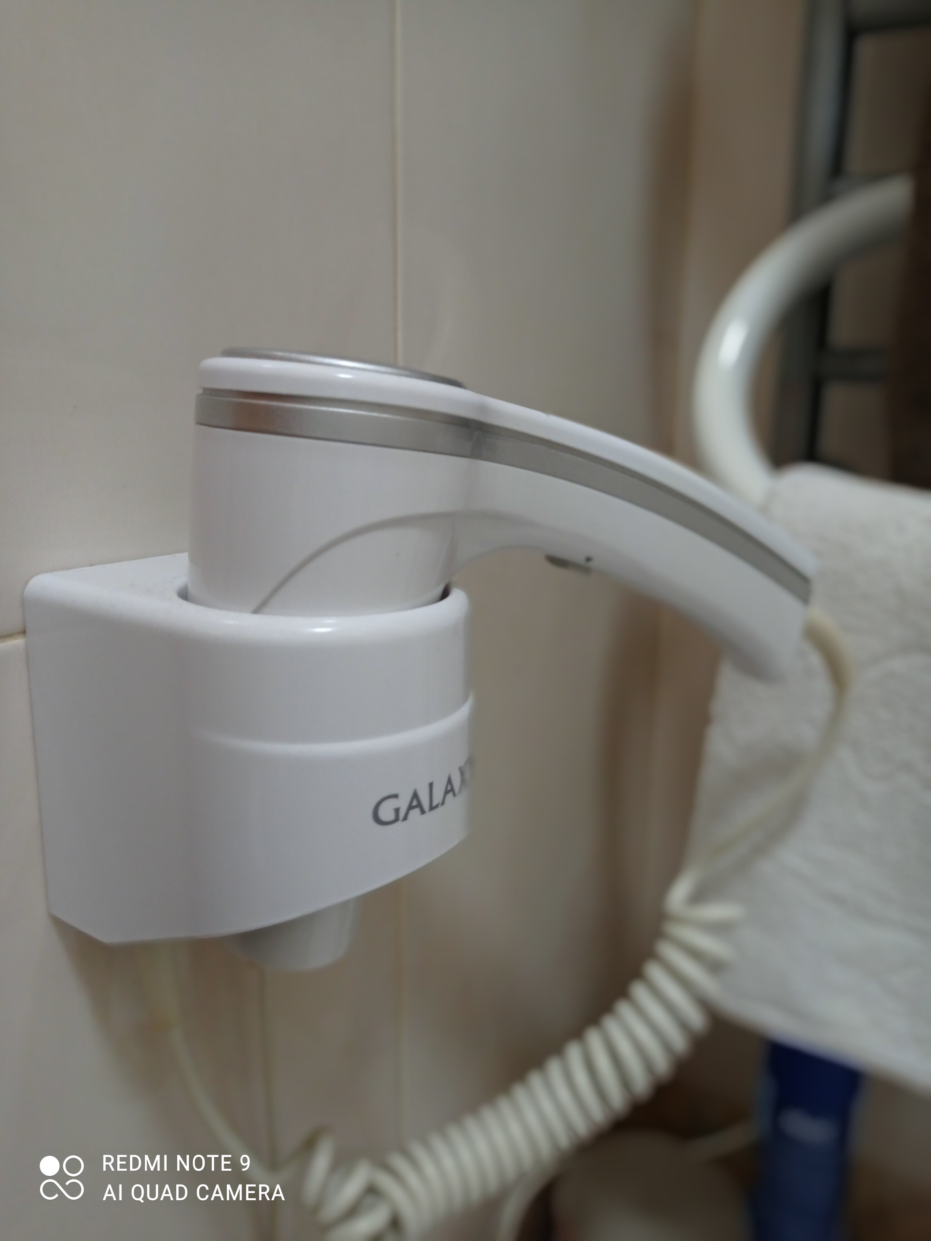 Фото Алупка Роза