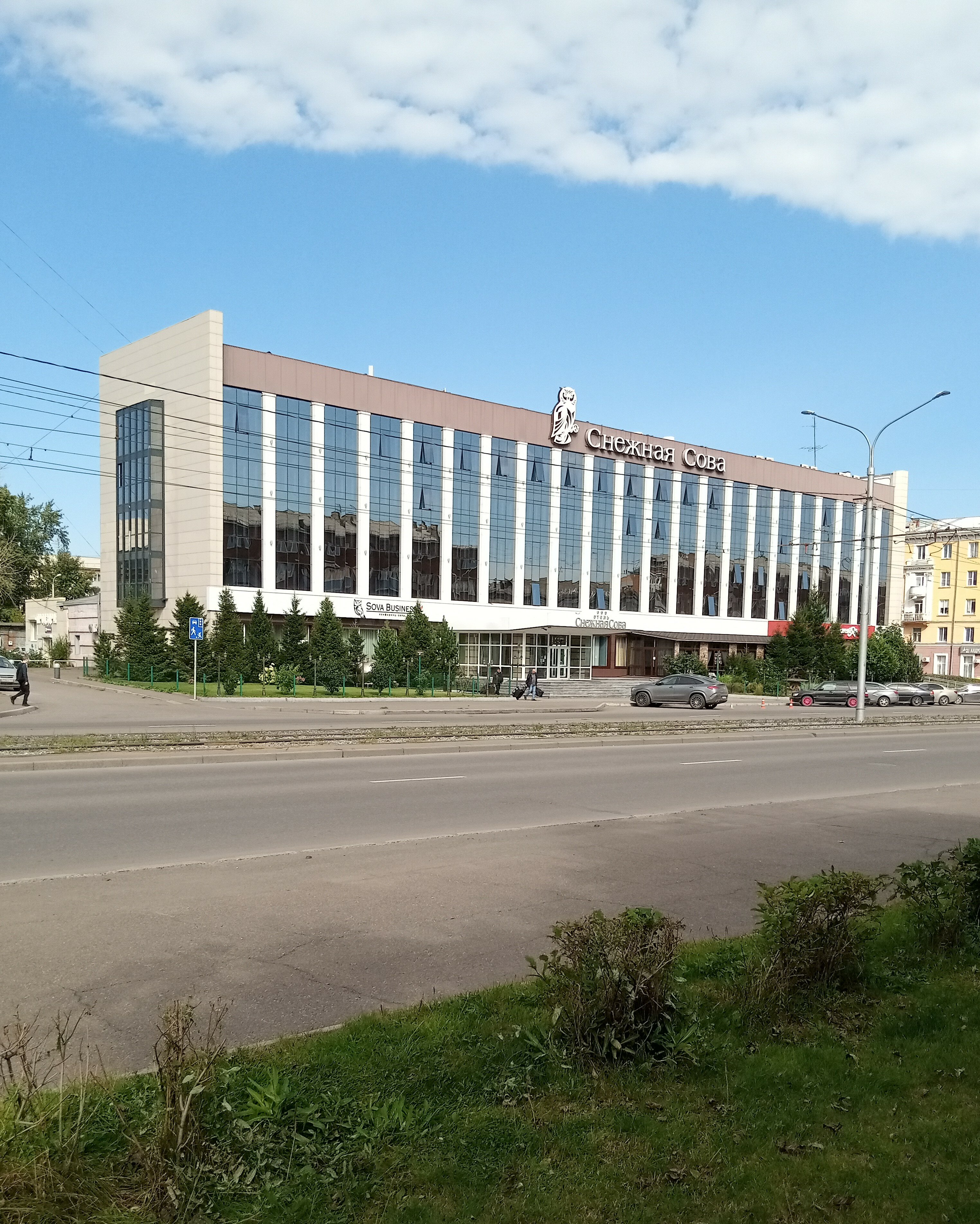 Фото Снежная сова