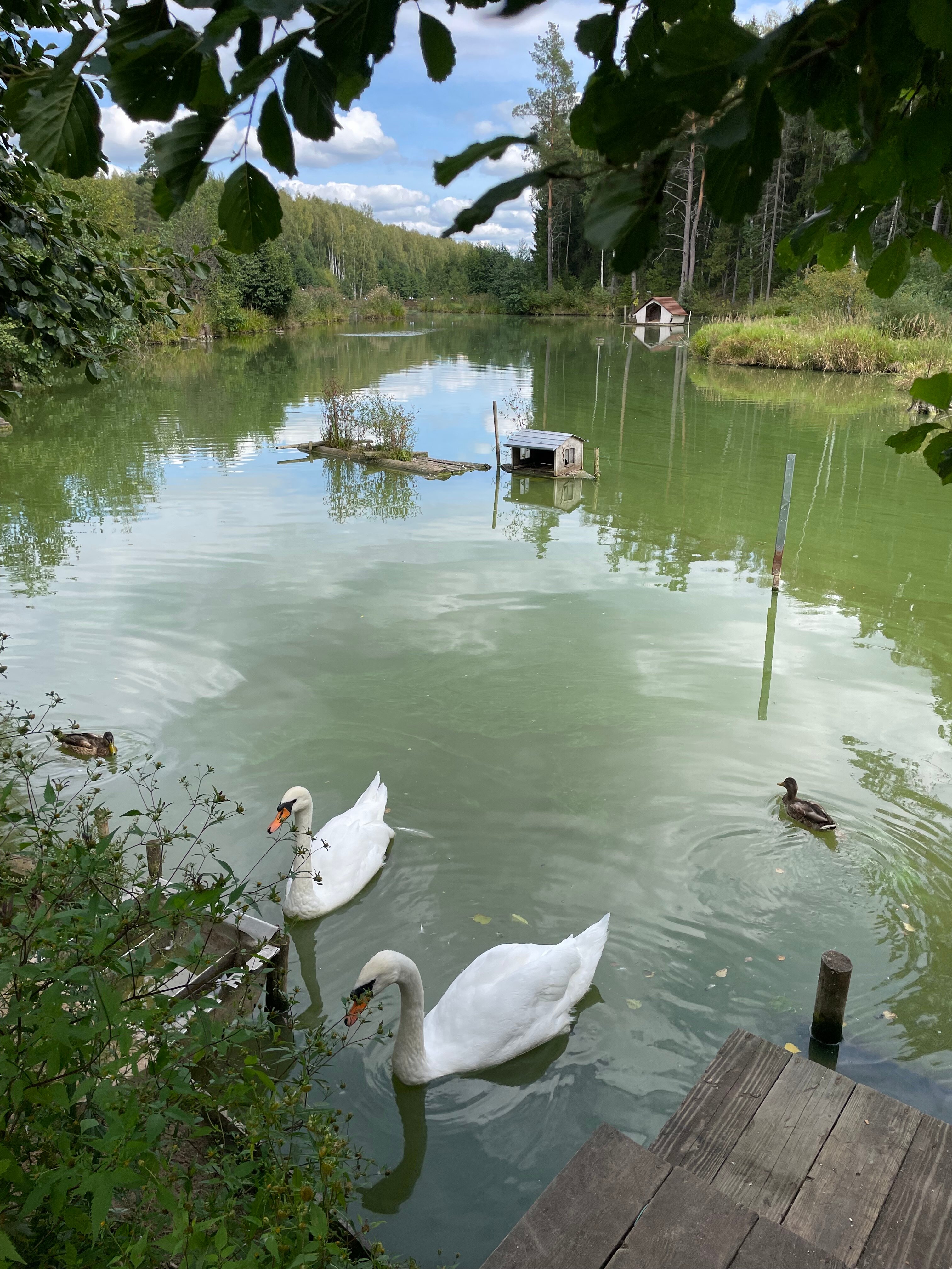 Фото Доброград Village