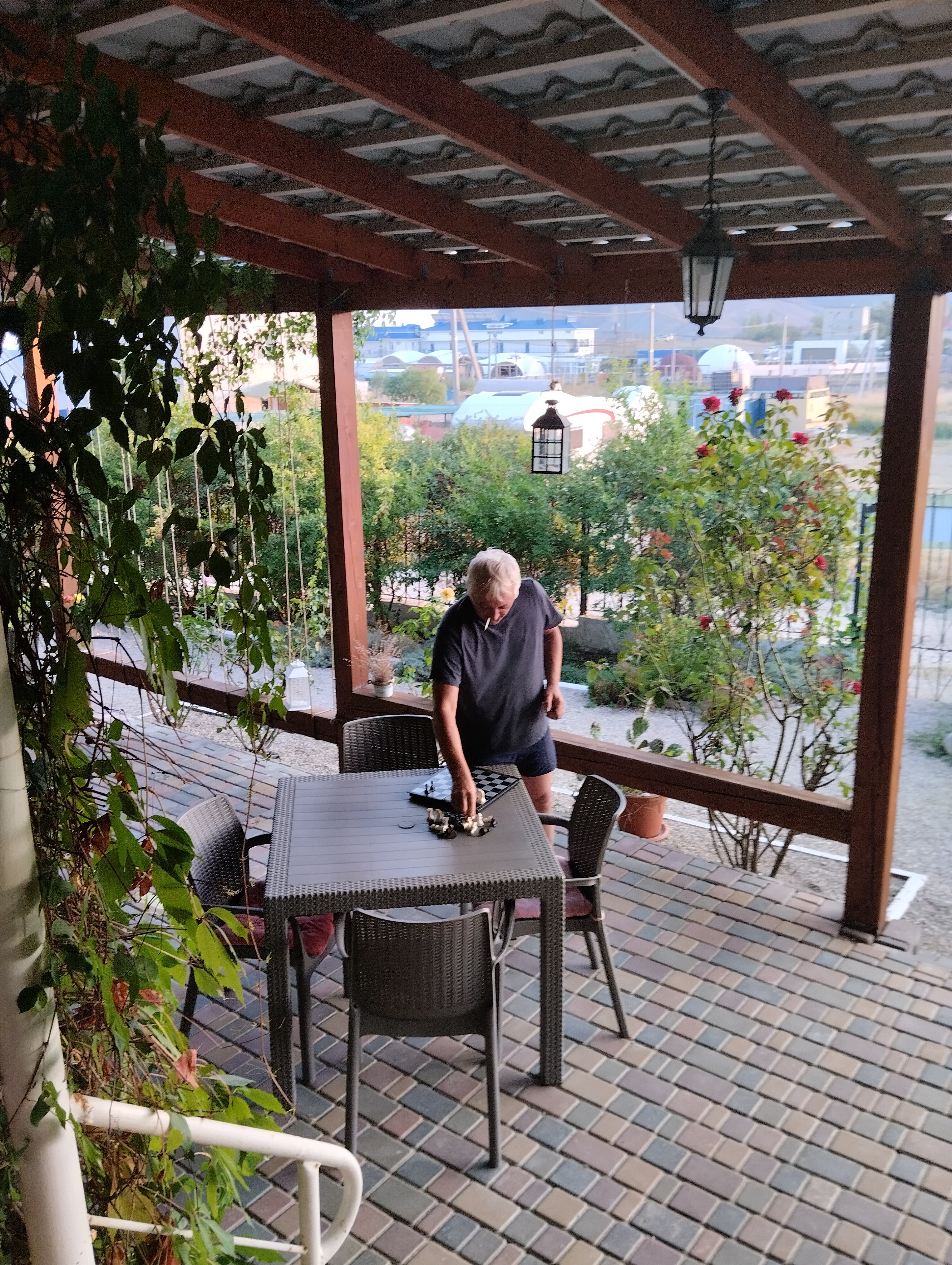 Фото Кактус