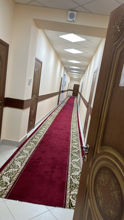 Фото Фараон