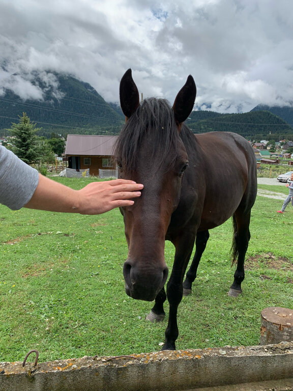 Фото Arkhyz Family Lodge