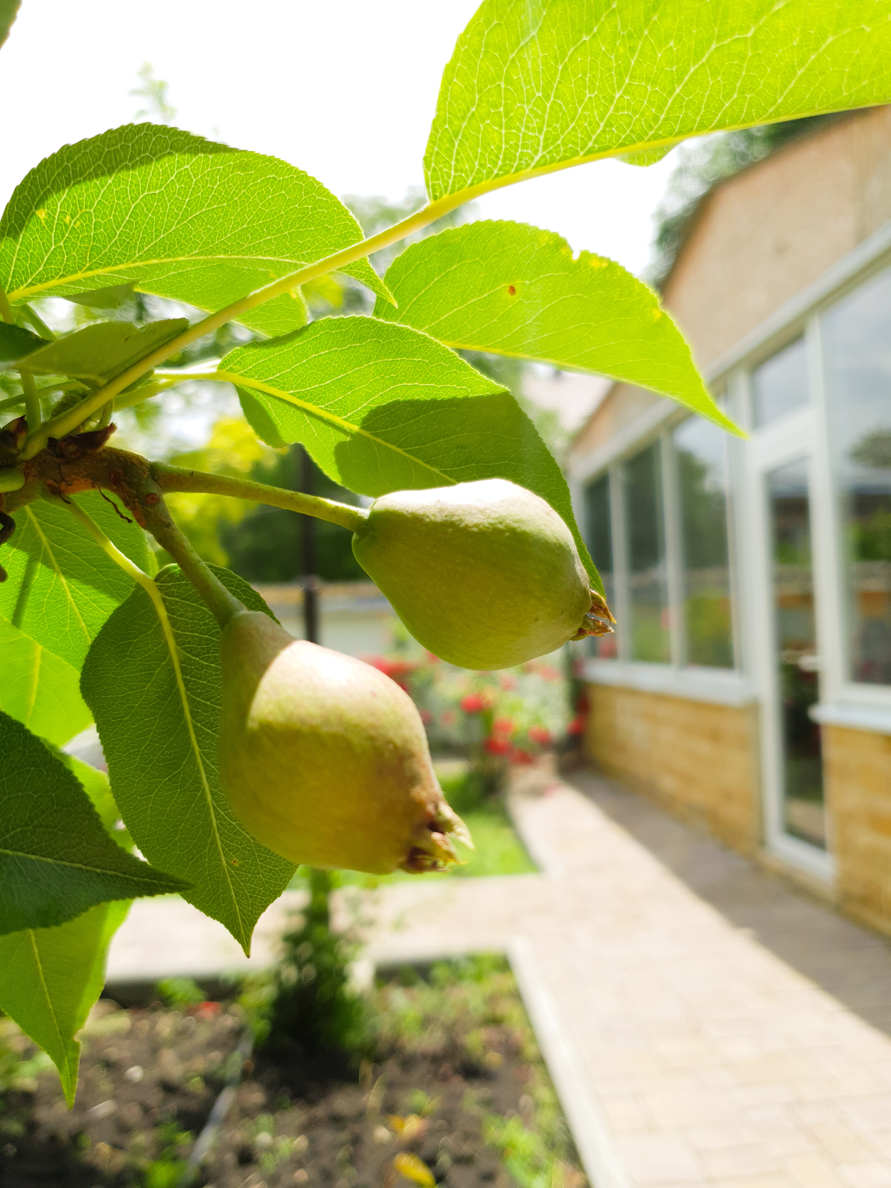 Фото Тамара