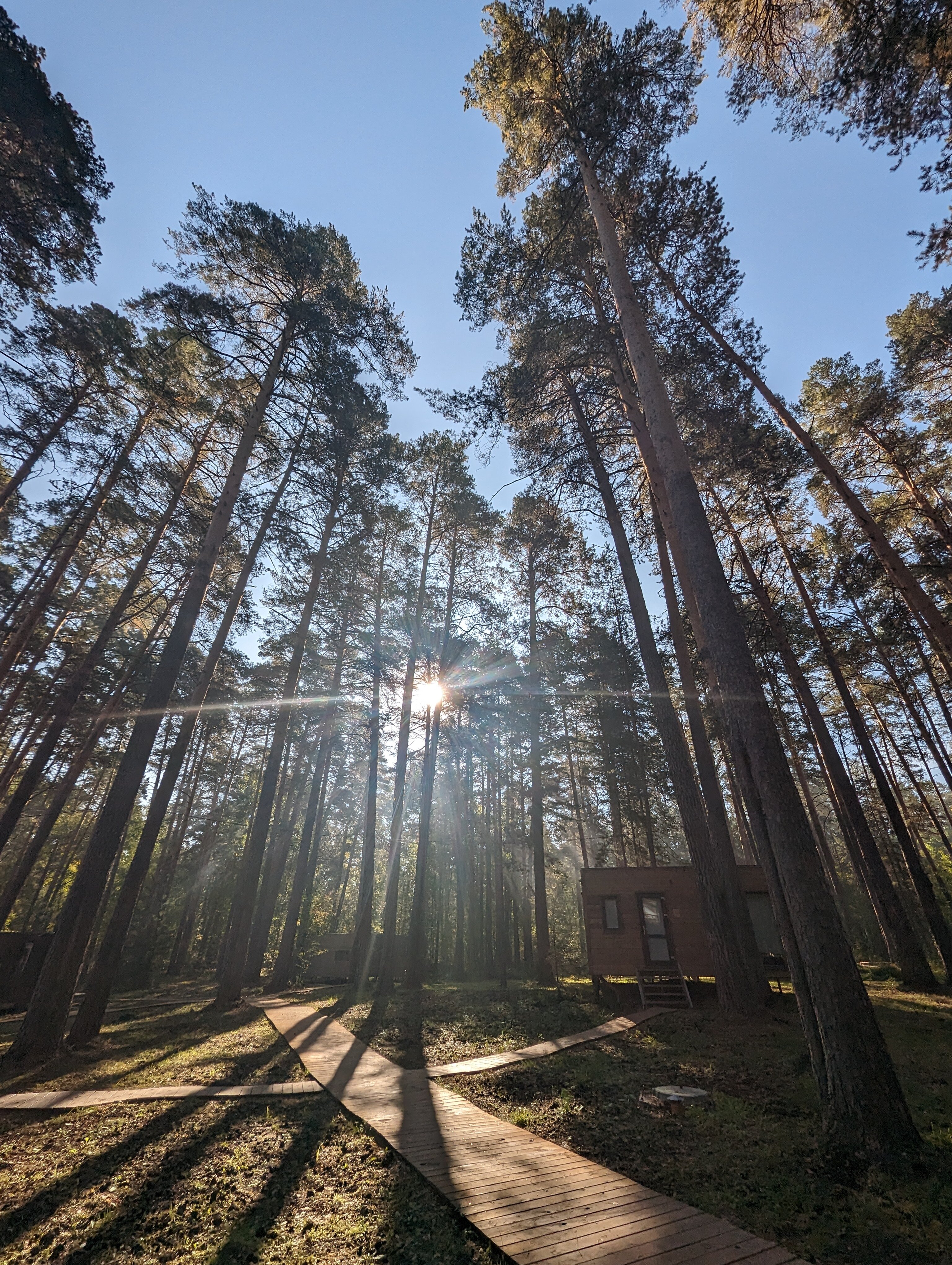 Фото VinderVillage