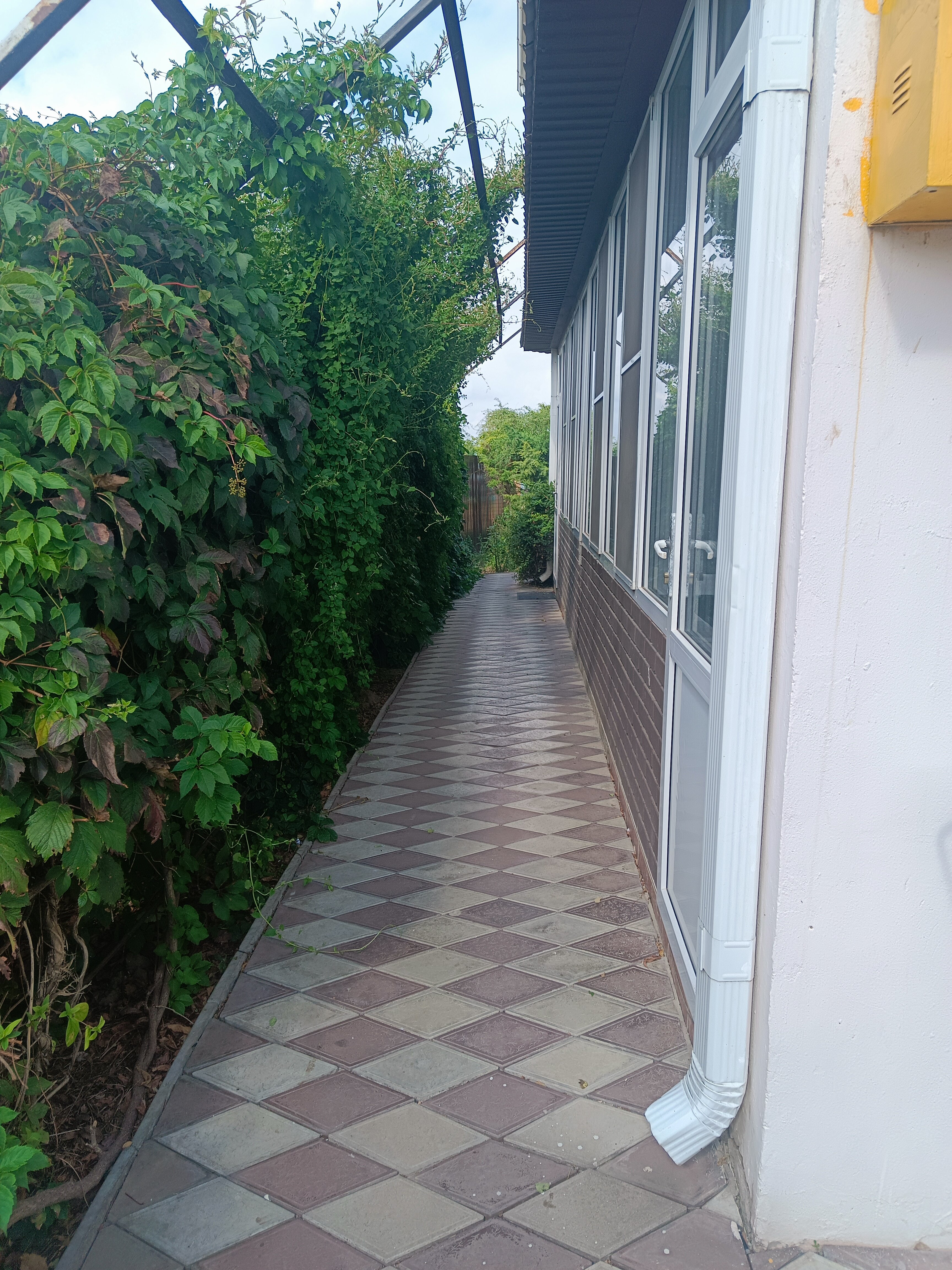 Фото Фортуна