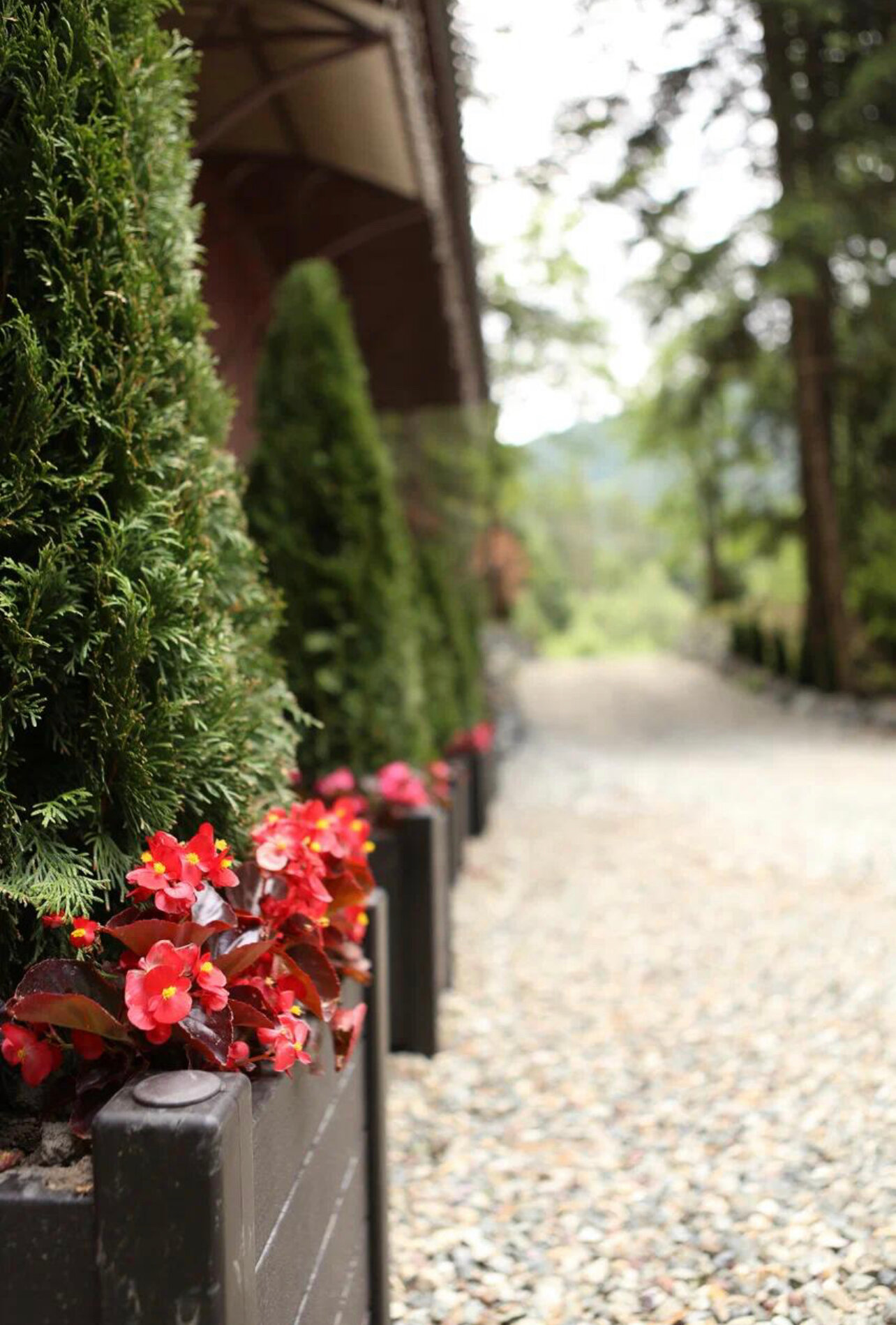 Фото Беркут Архыз