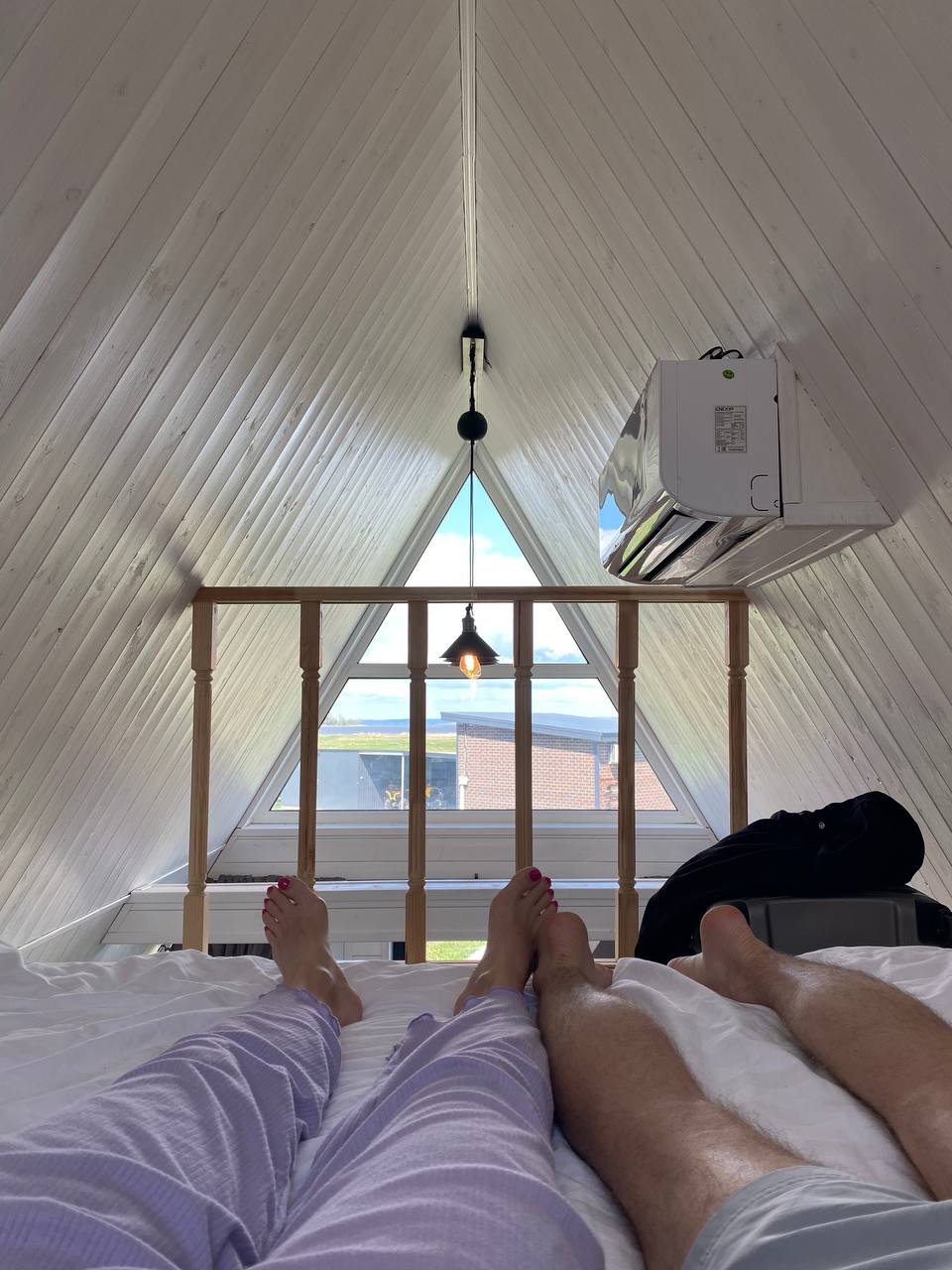 Фото Лебедино Эко