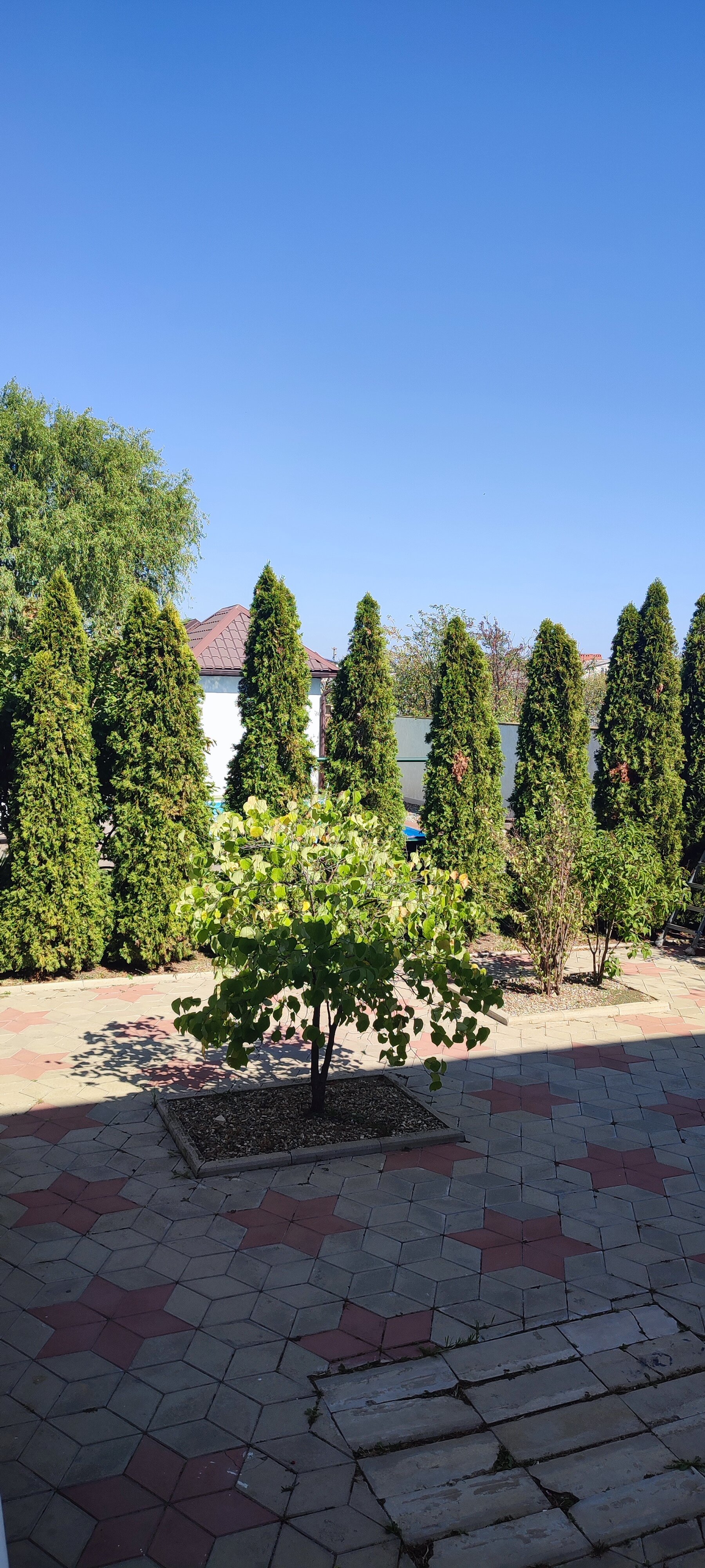 Фото Дом для отдыха