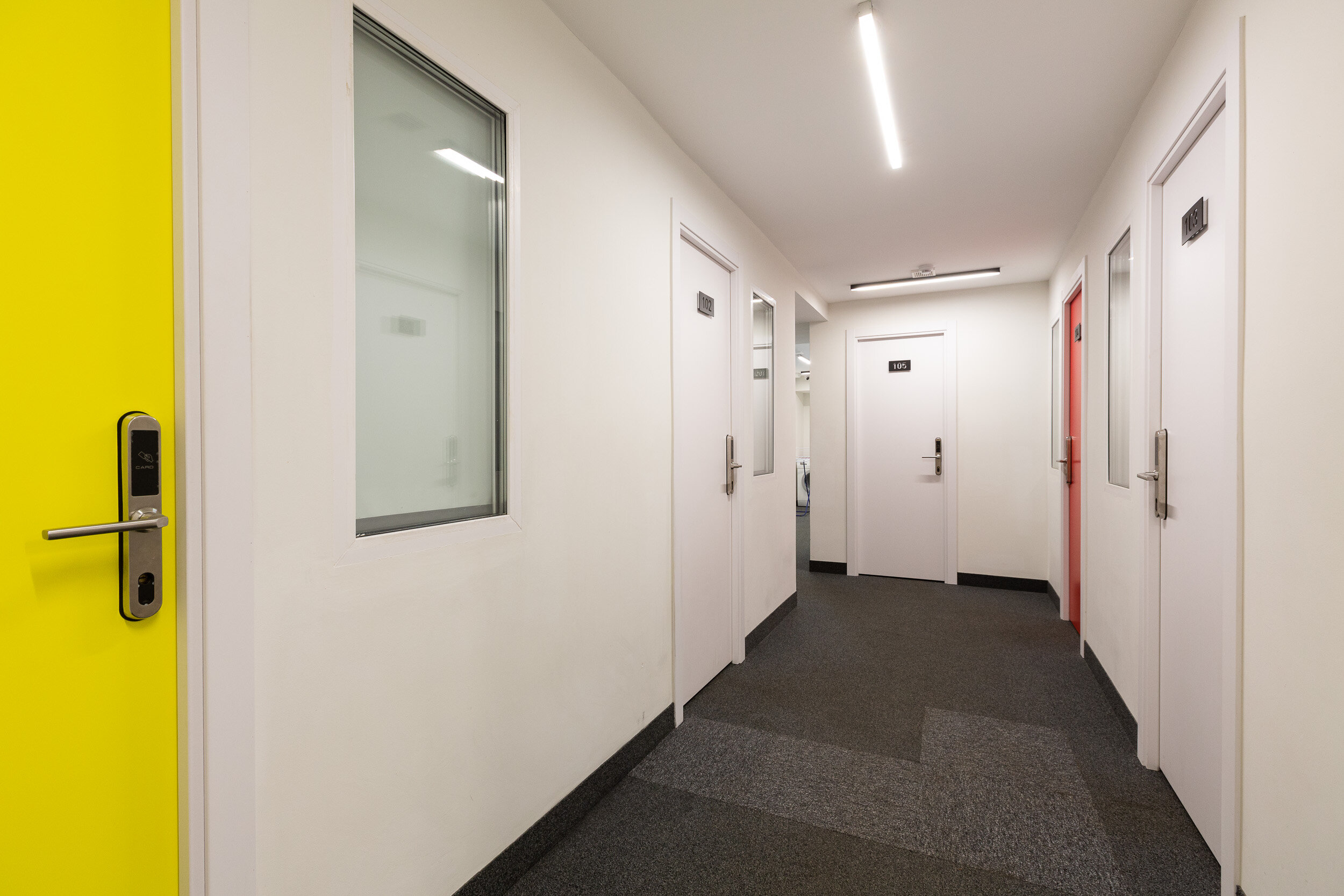 Фото Степаненков Radius