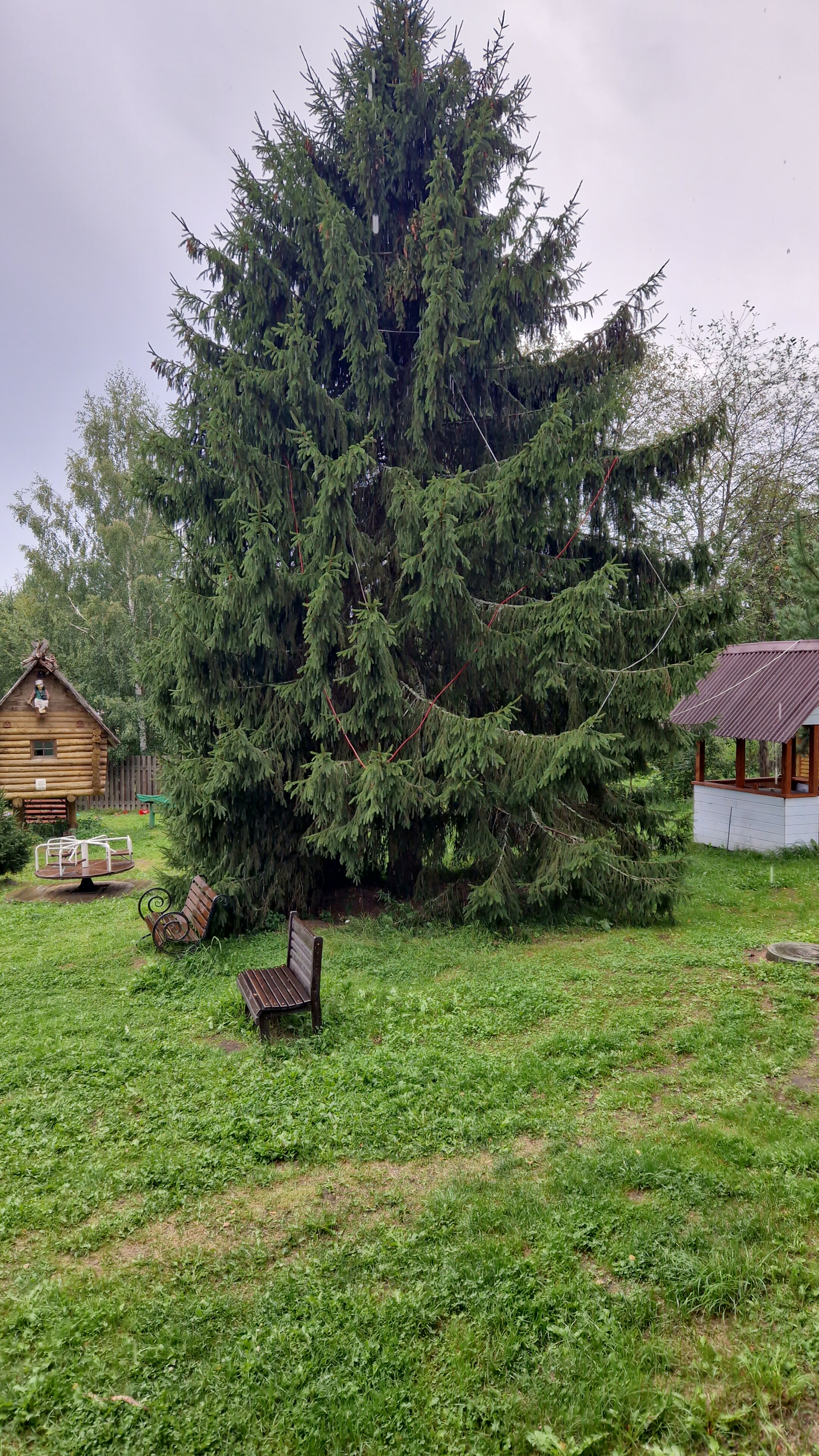 Фото Беличье