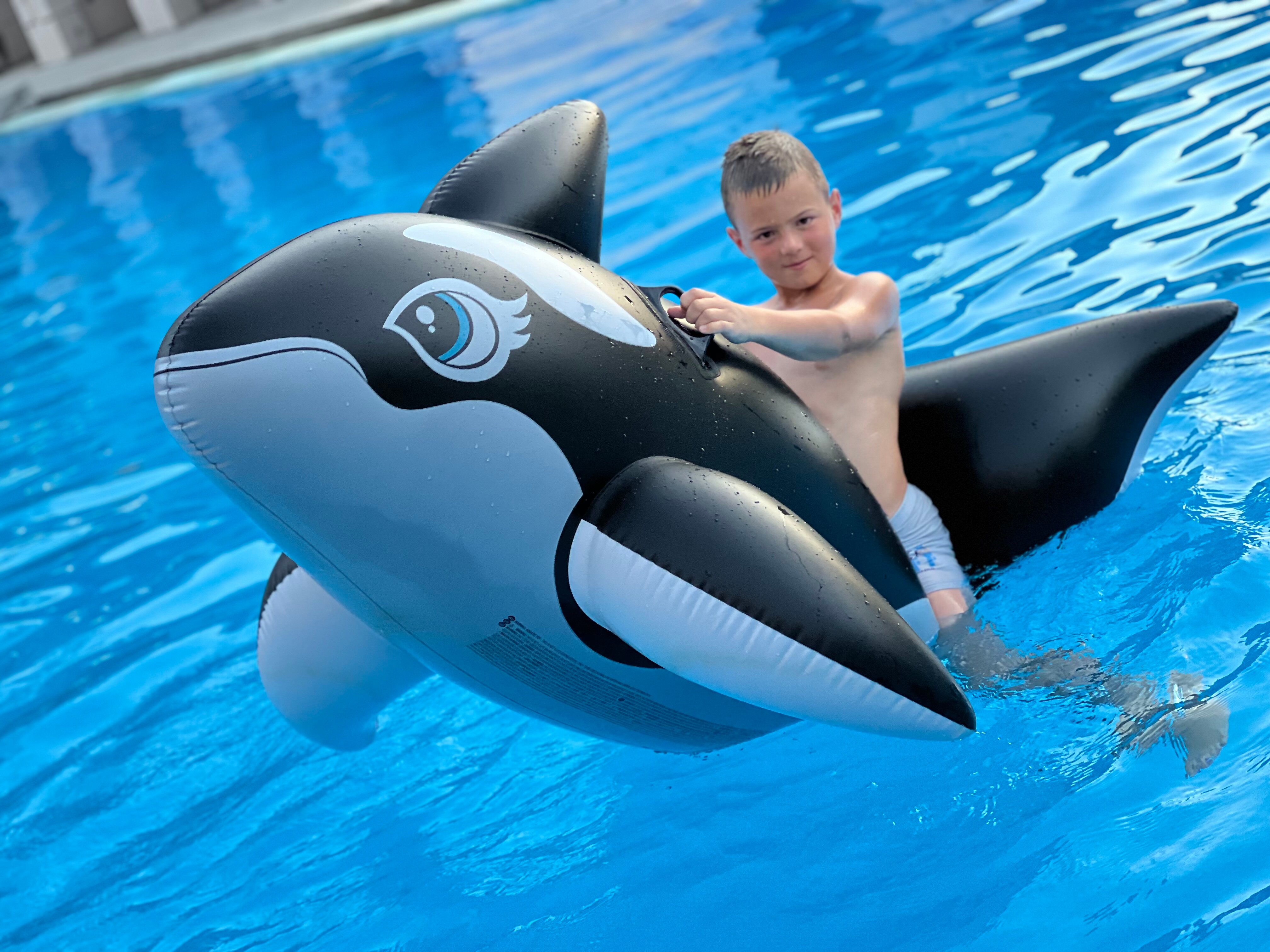 Фото Чайный дворик