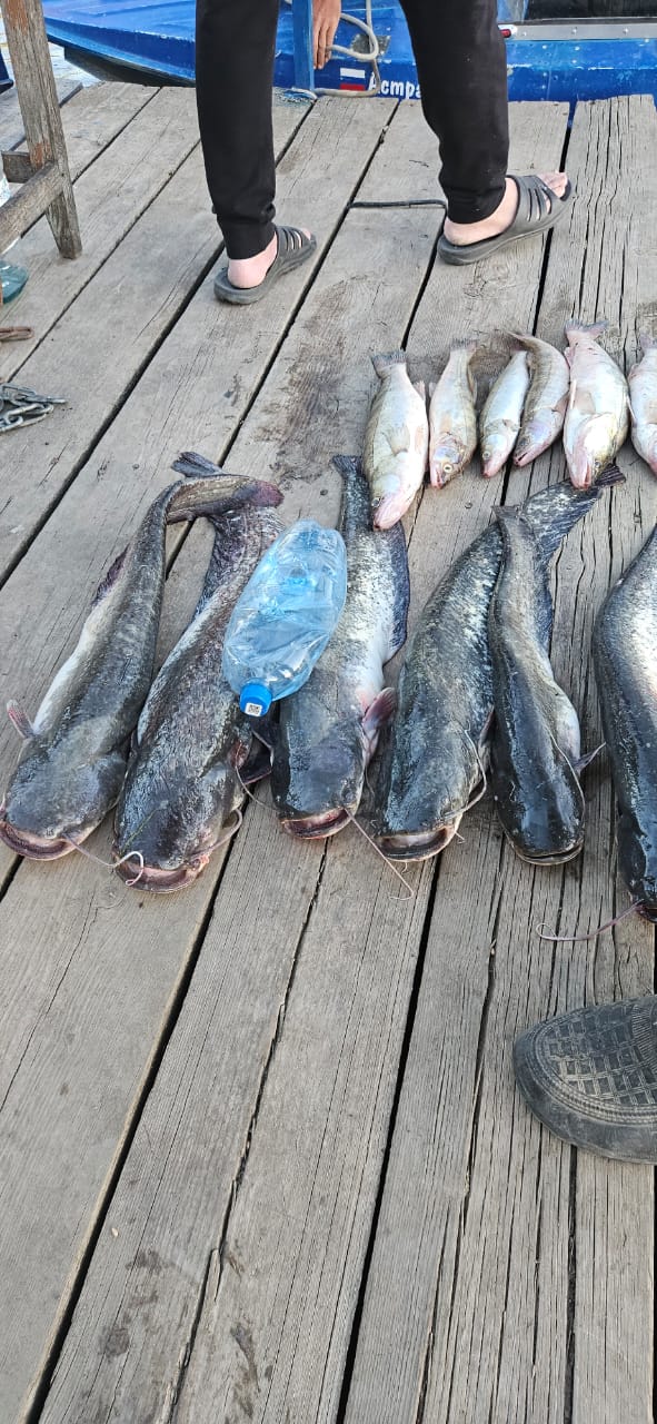 Фото Уваринка