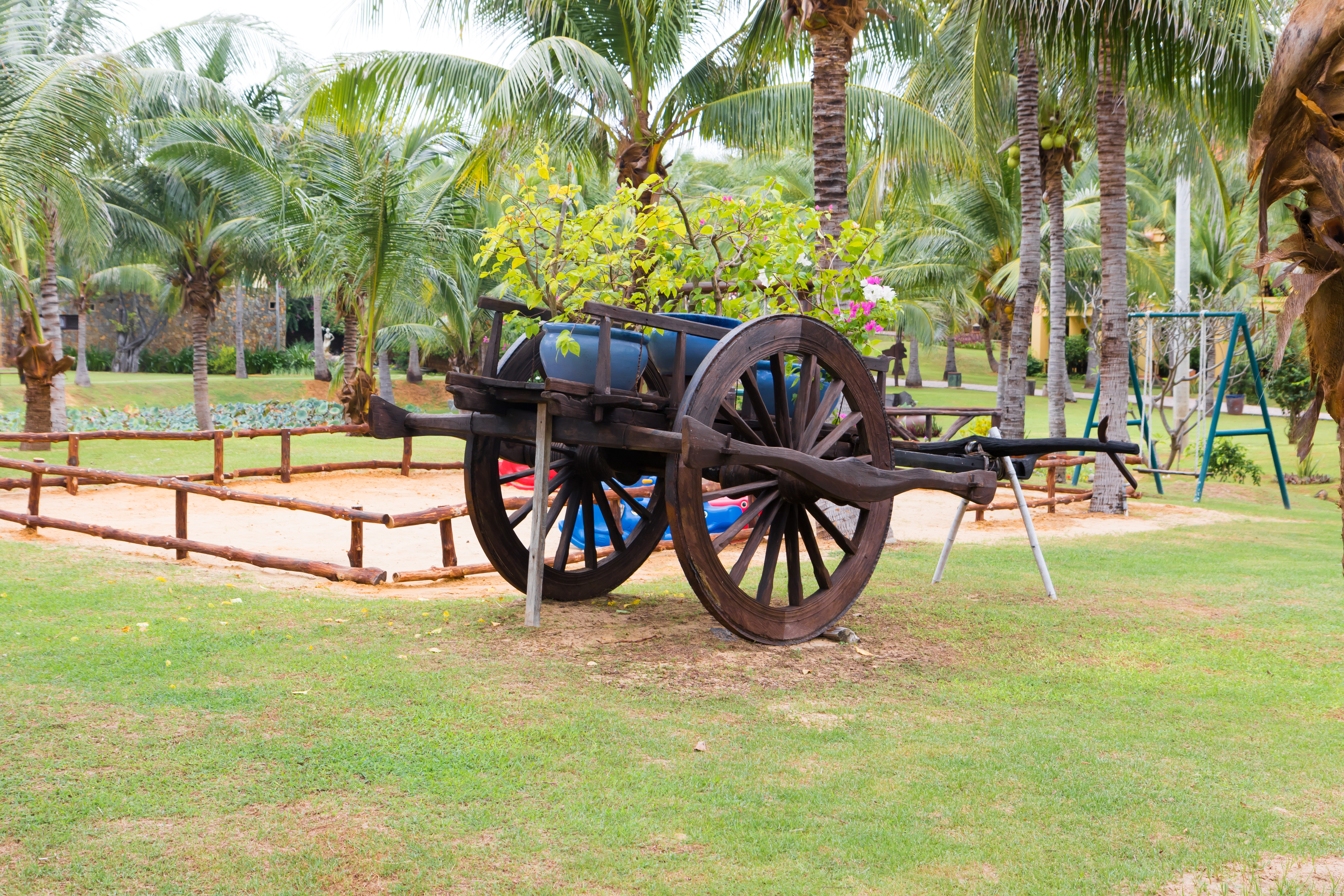 Фото Pandanus Resort