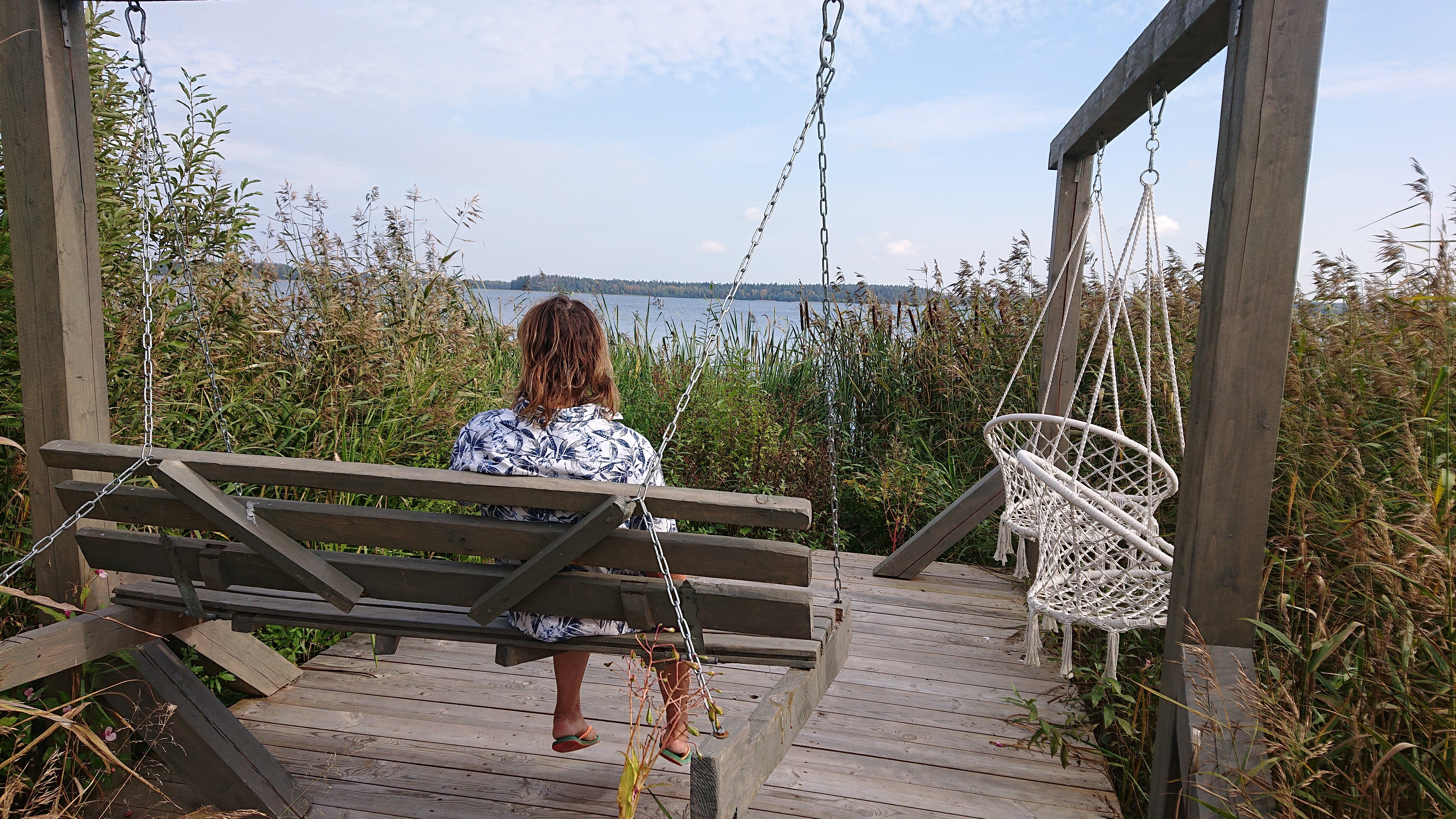 Фото Сорока