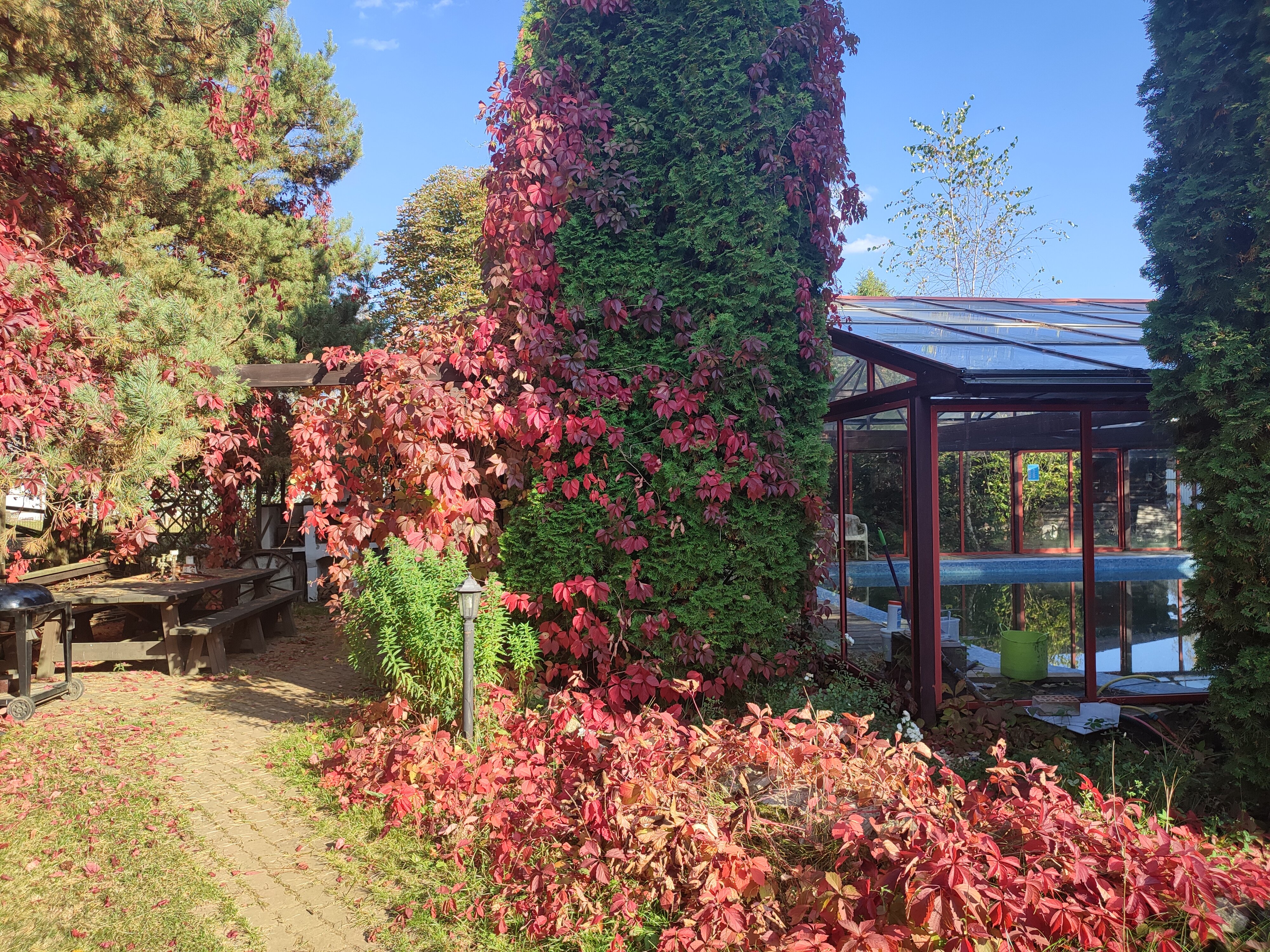 Фото Dream Village