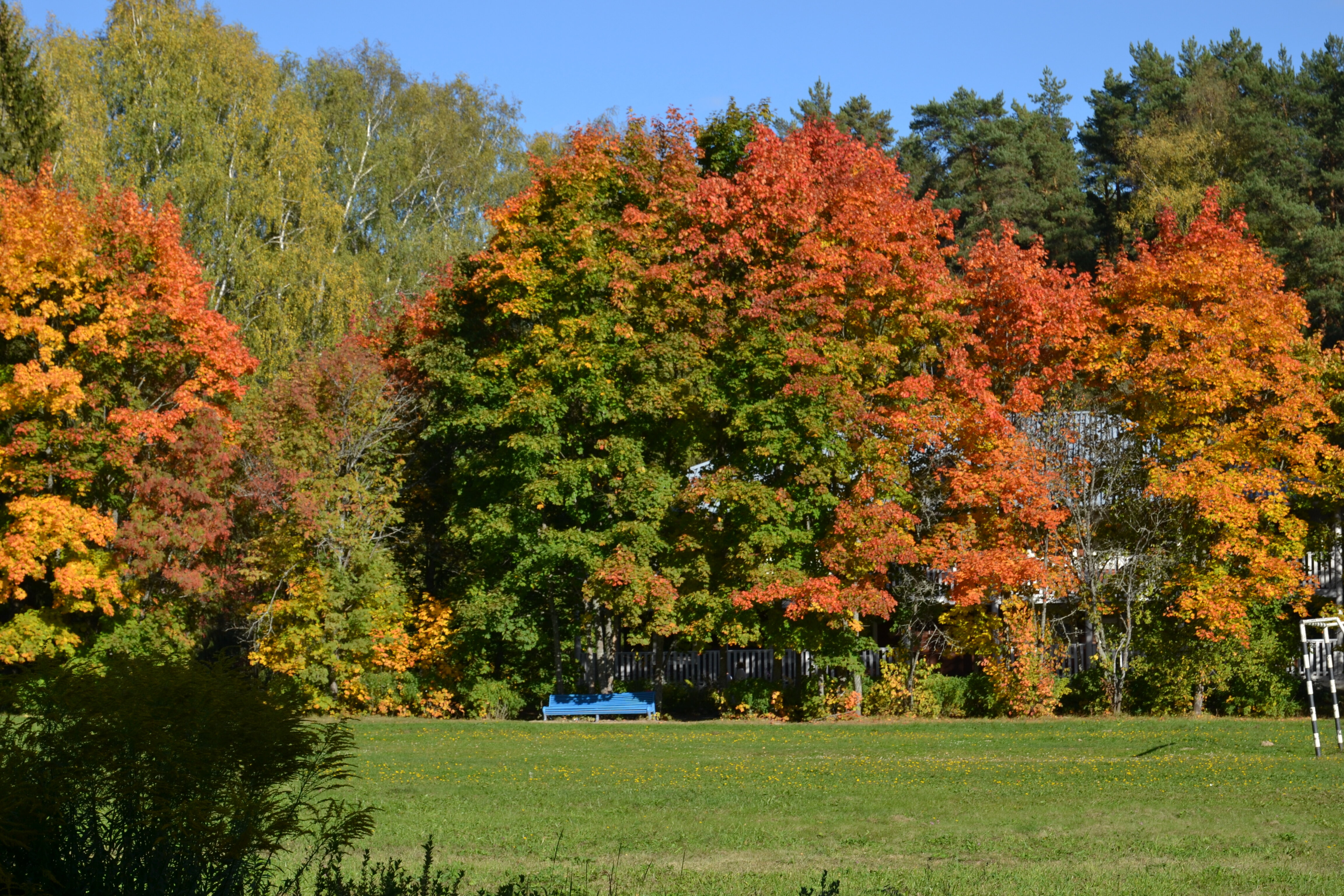 Фото Санаторий Щелыково
