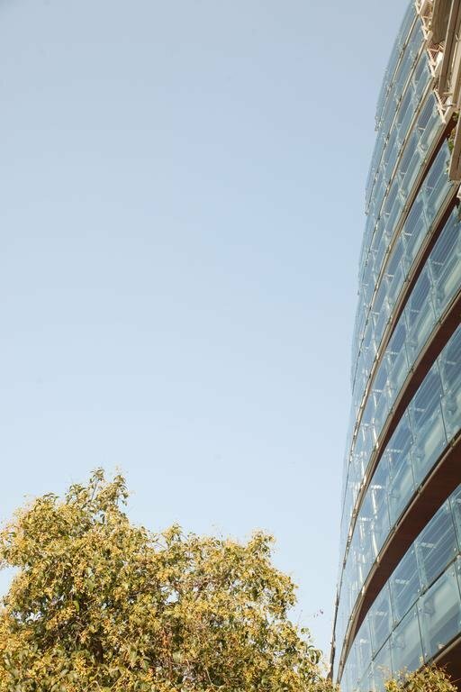 Фото Daios Luxury Living