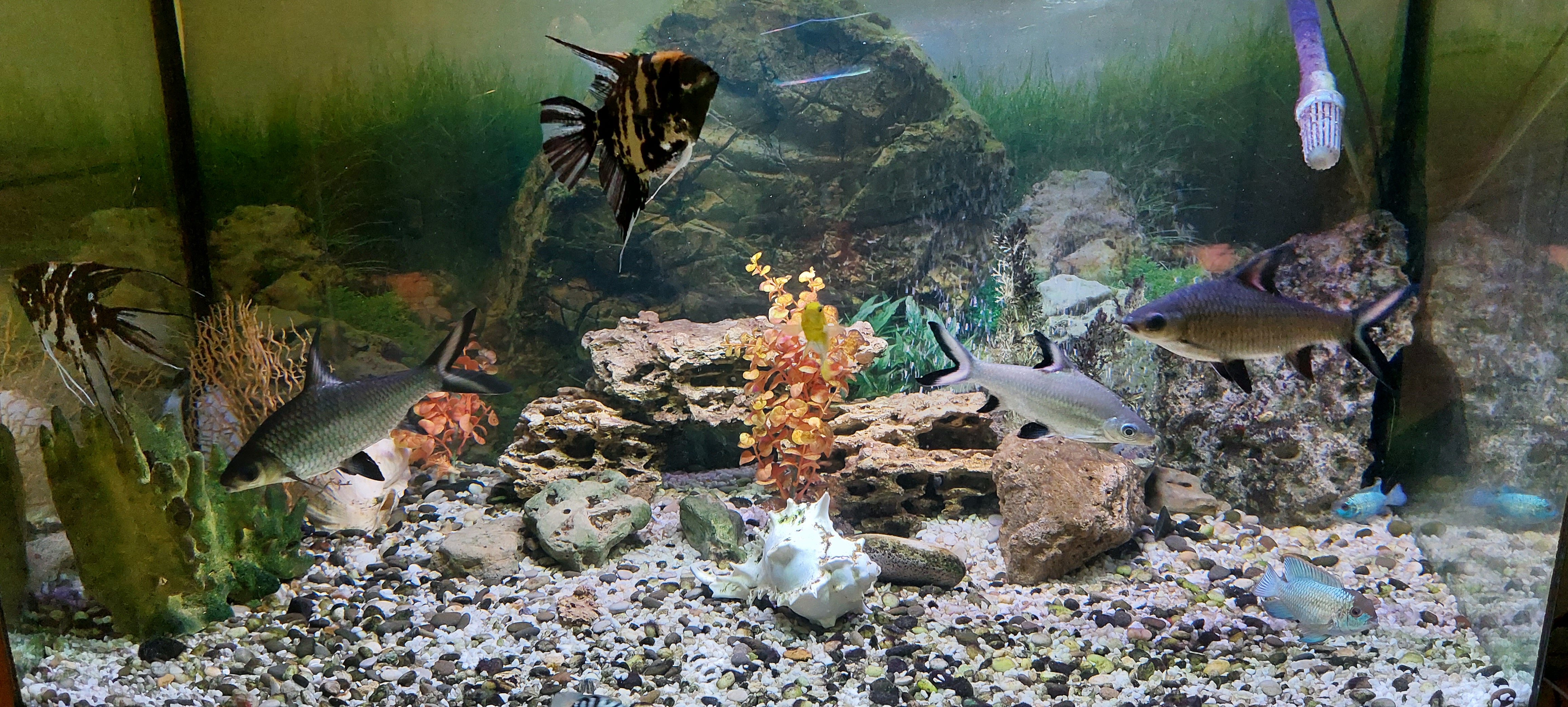 Фото Луки Сервис