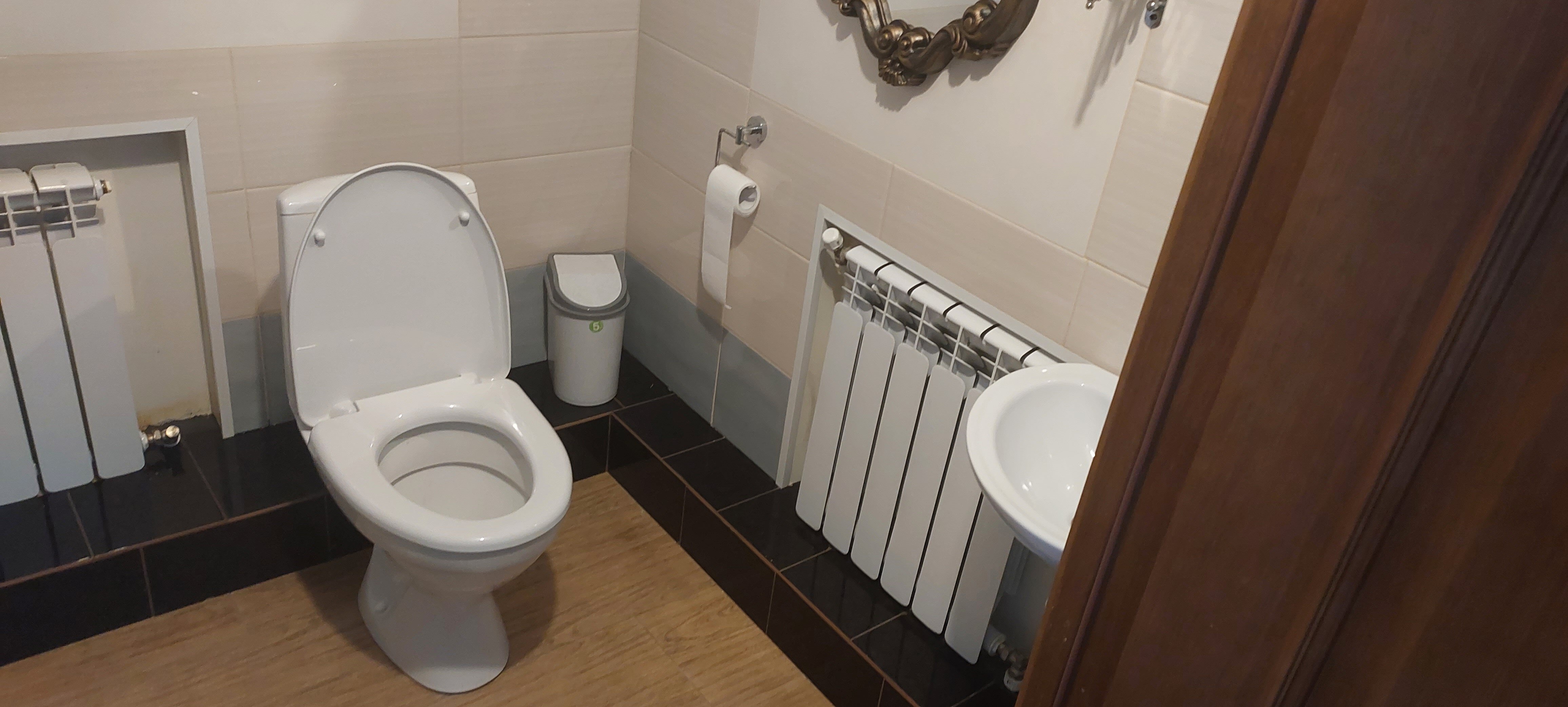 Фото Сириус