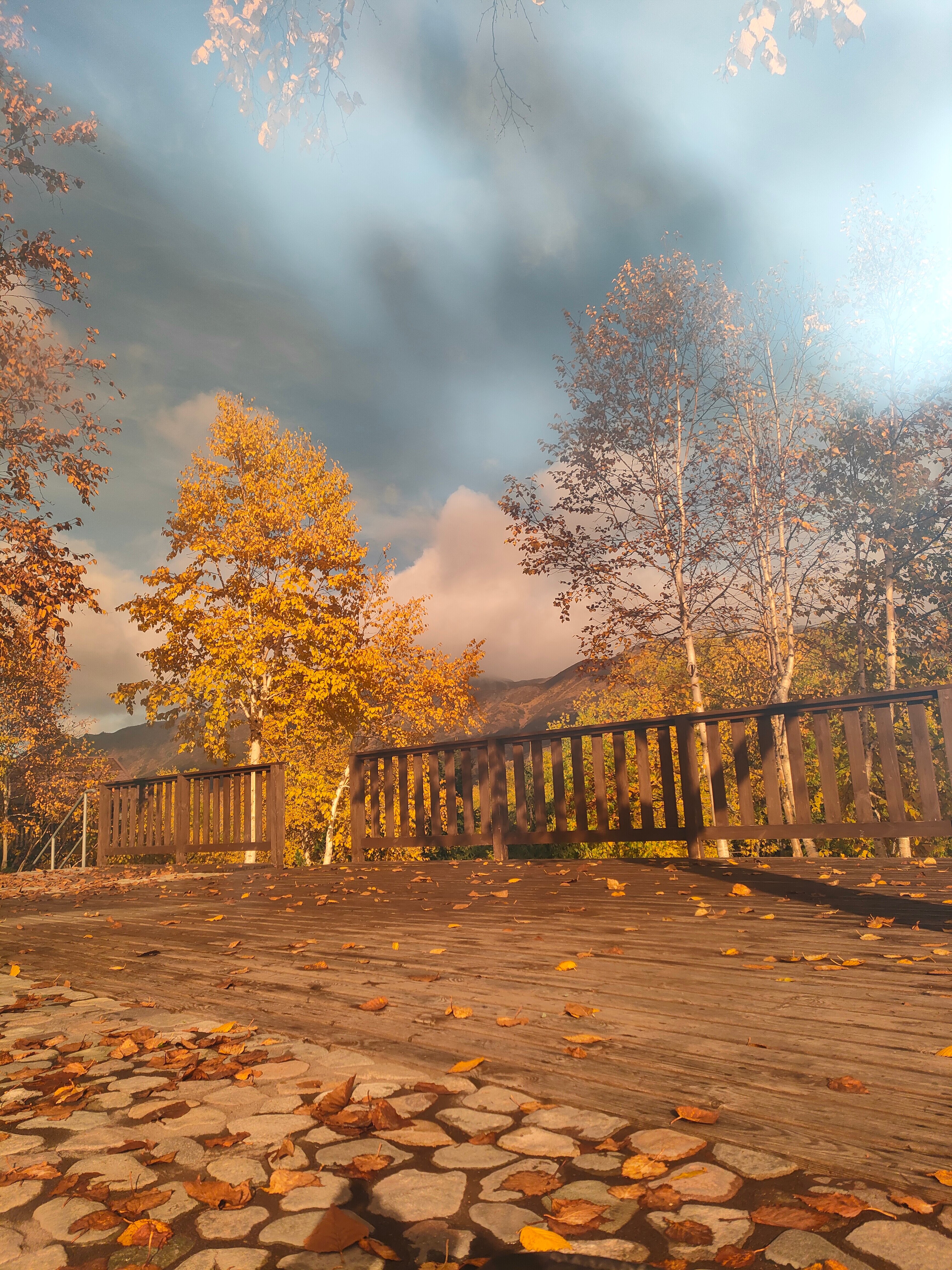 Фото Снежная Долина