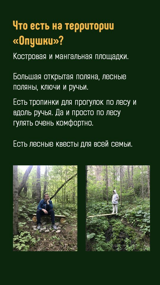 Фото Опушка