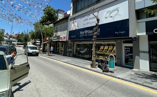 Blue Diamond Fotoğraf 4