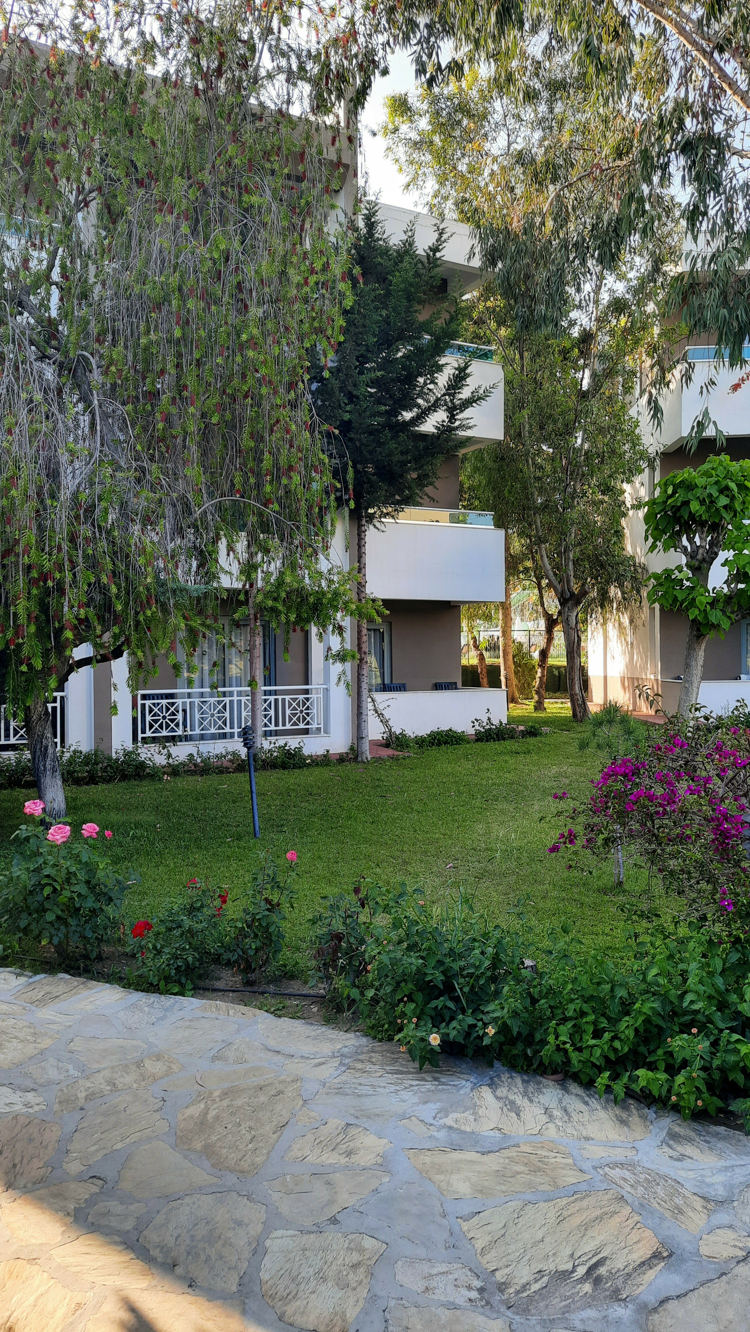 Фото Синдика